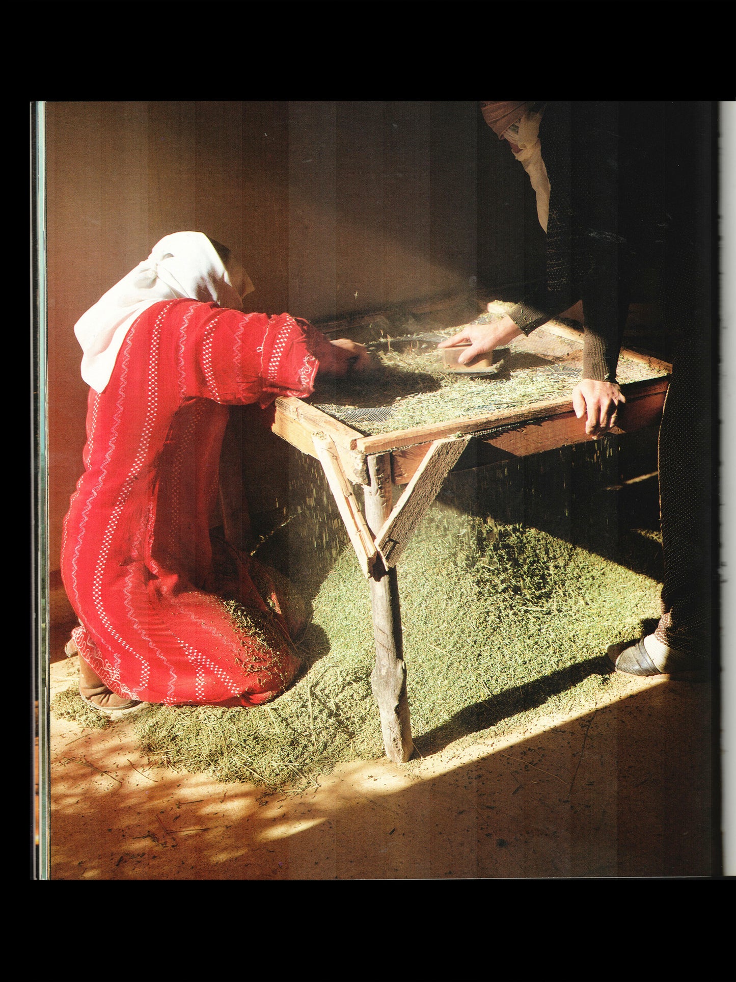 HASHISH (1984)