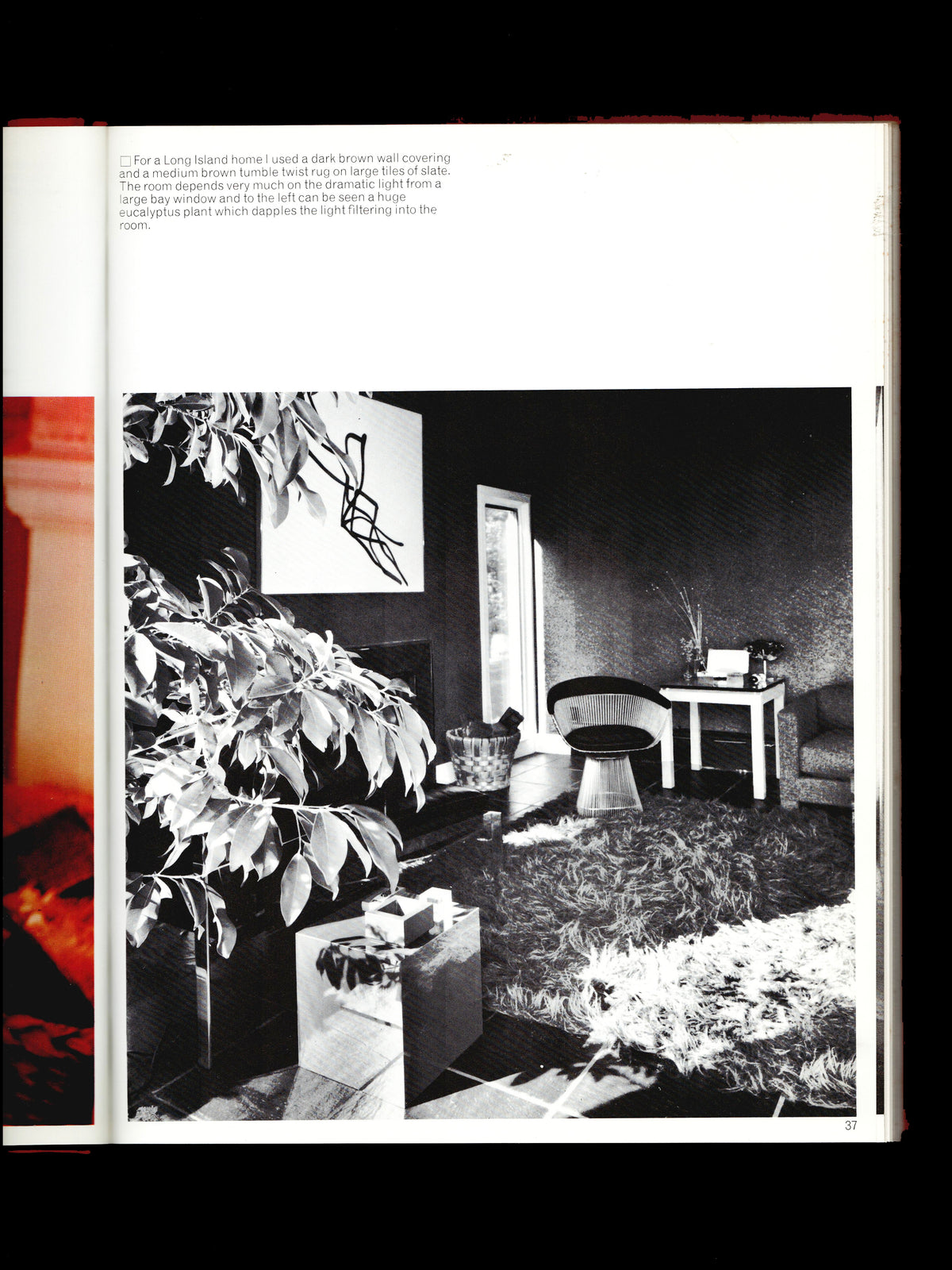 HOME DECORATION (1972)