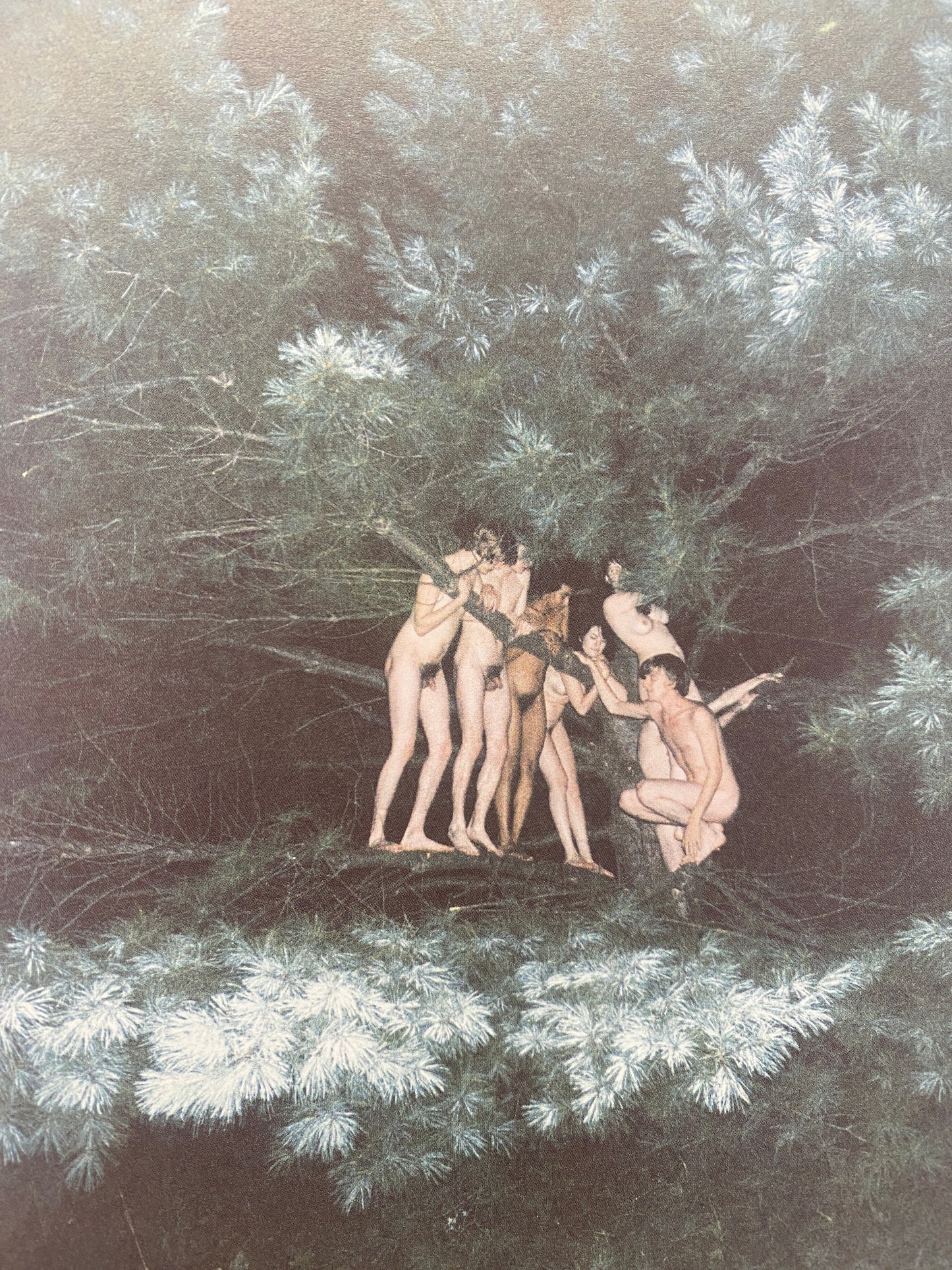 RYAN  MCGINLEY (2004)