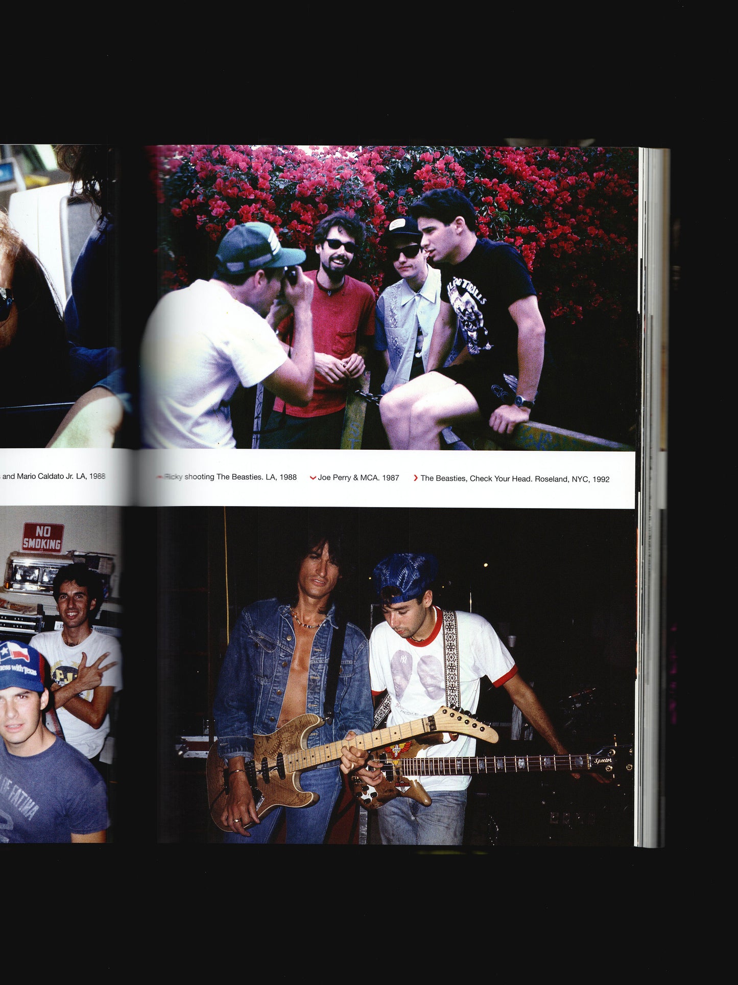 THE INDIVIDUALIST (2017)