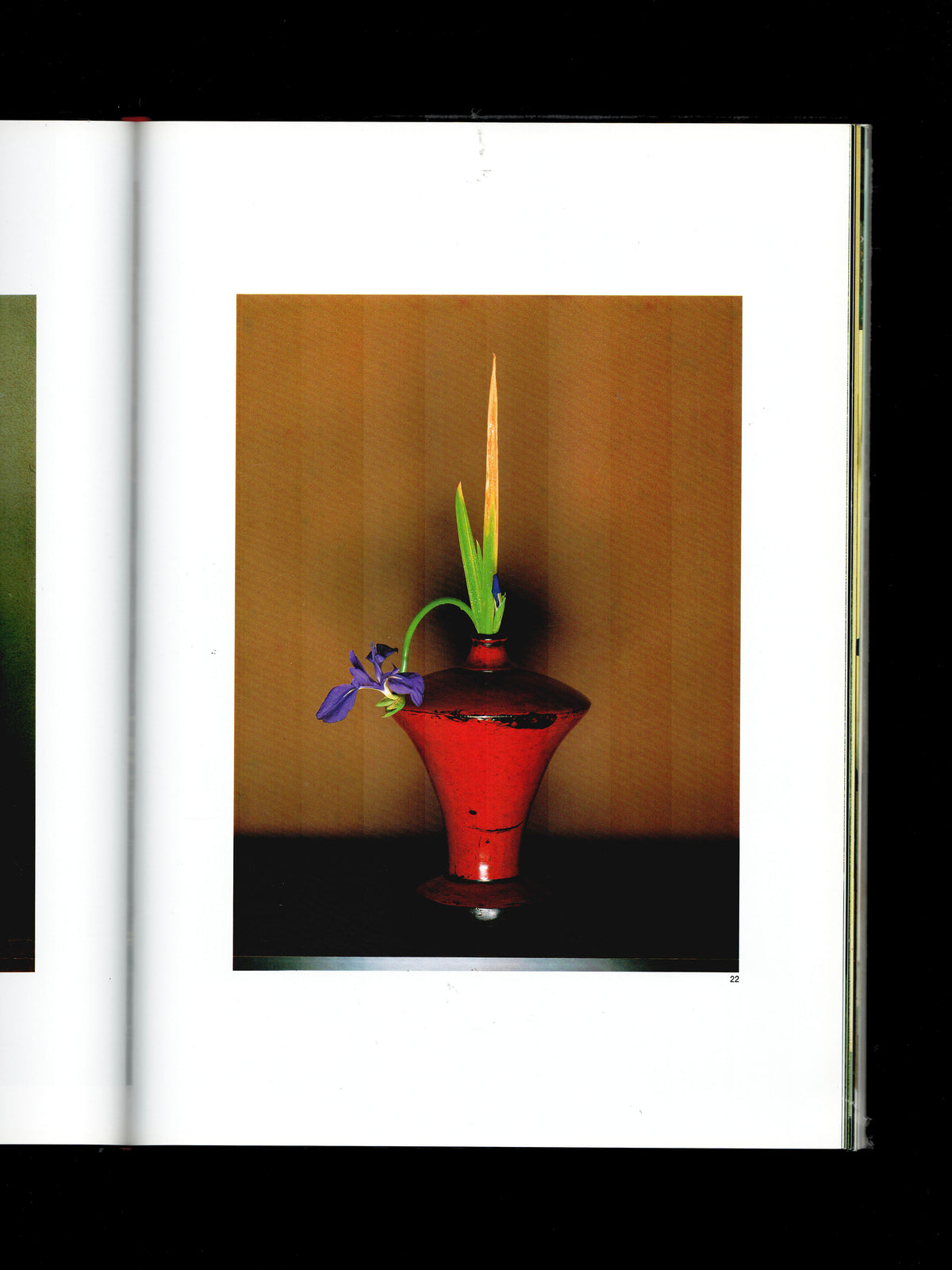 INSPIRED FLOWER ARRANGEMENTS (1999)