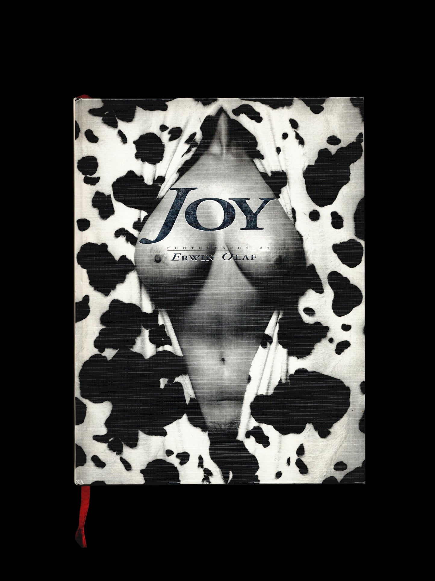 JOY (1993)