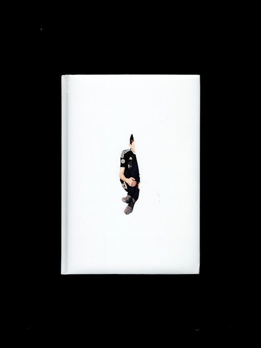 LE COLLÈGE (2016)
