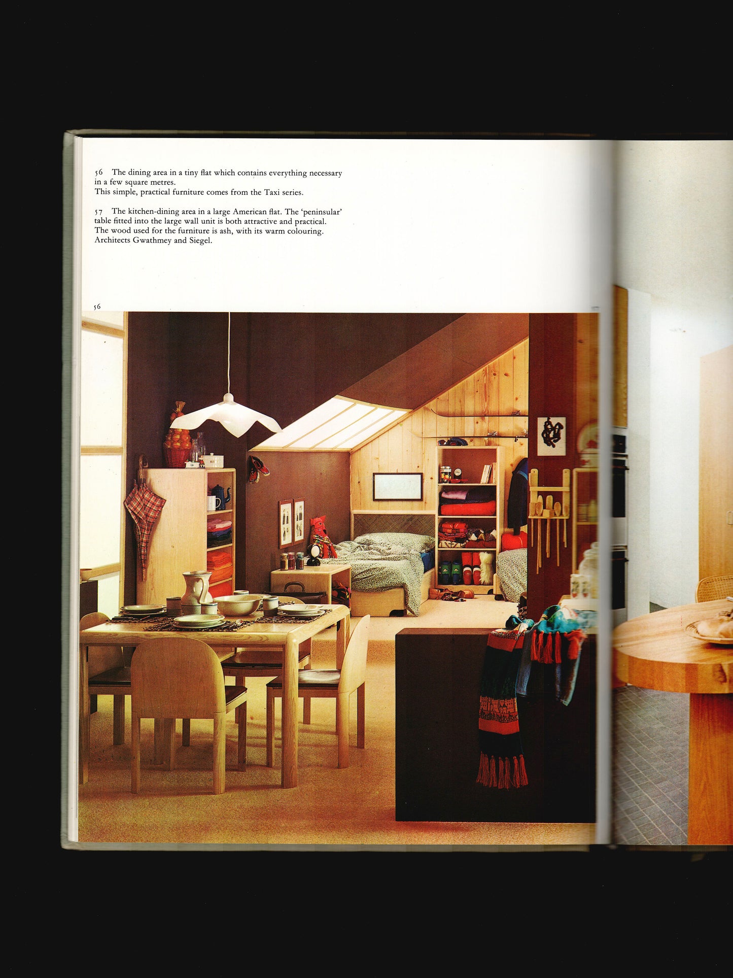 LIVING SPACES (1979)