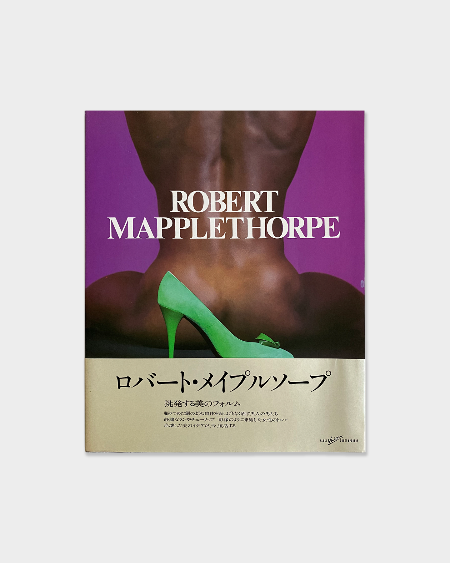 Robert Mapplethorpe (1987)
