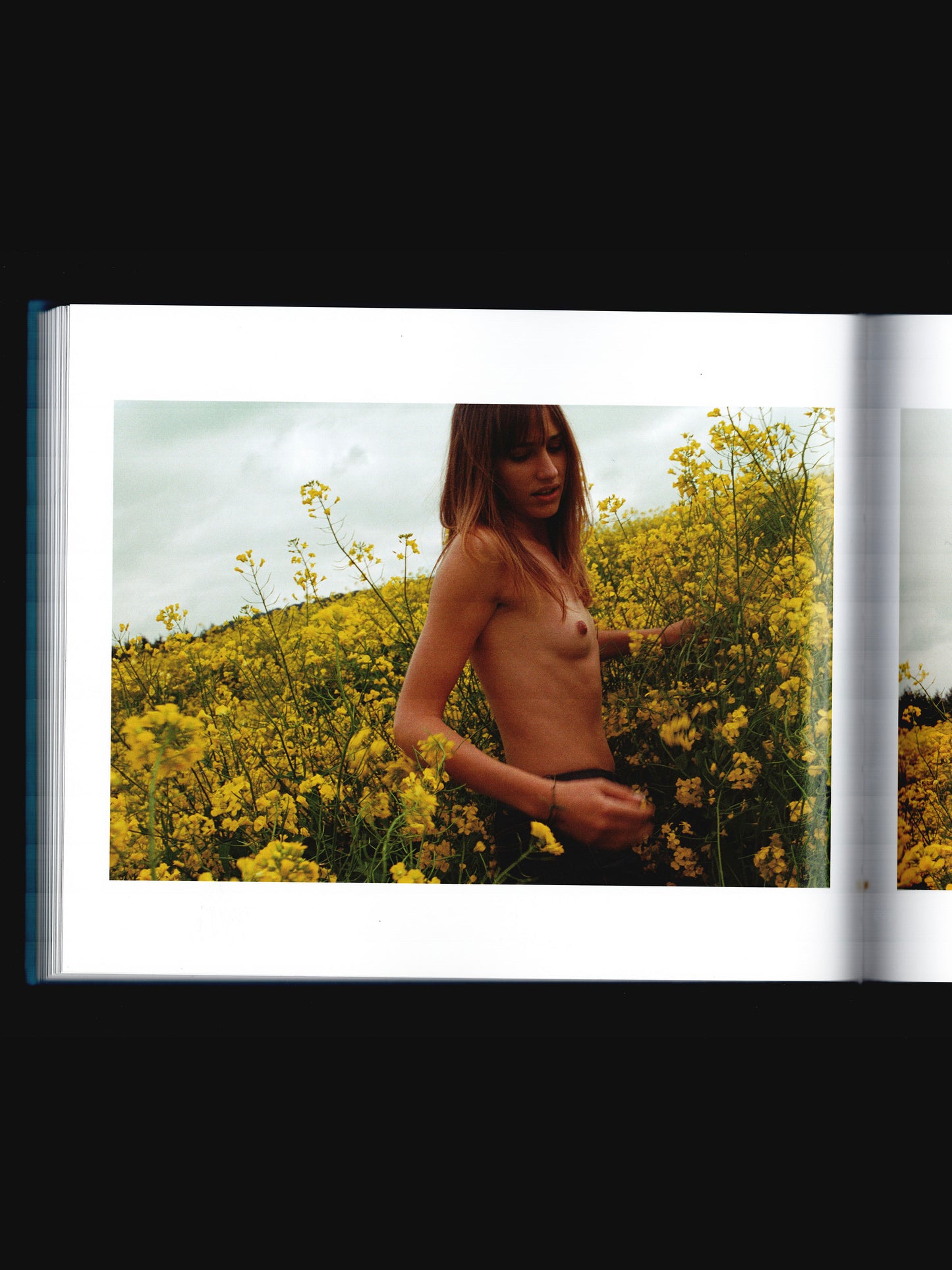 MAY THE CIRCLE REMAIN UNBROKEN W/ PRINT (2011)