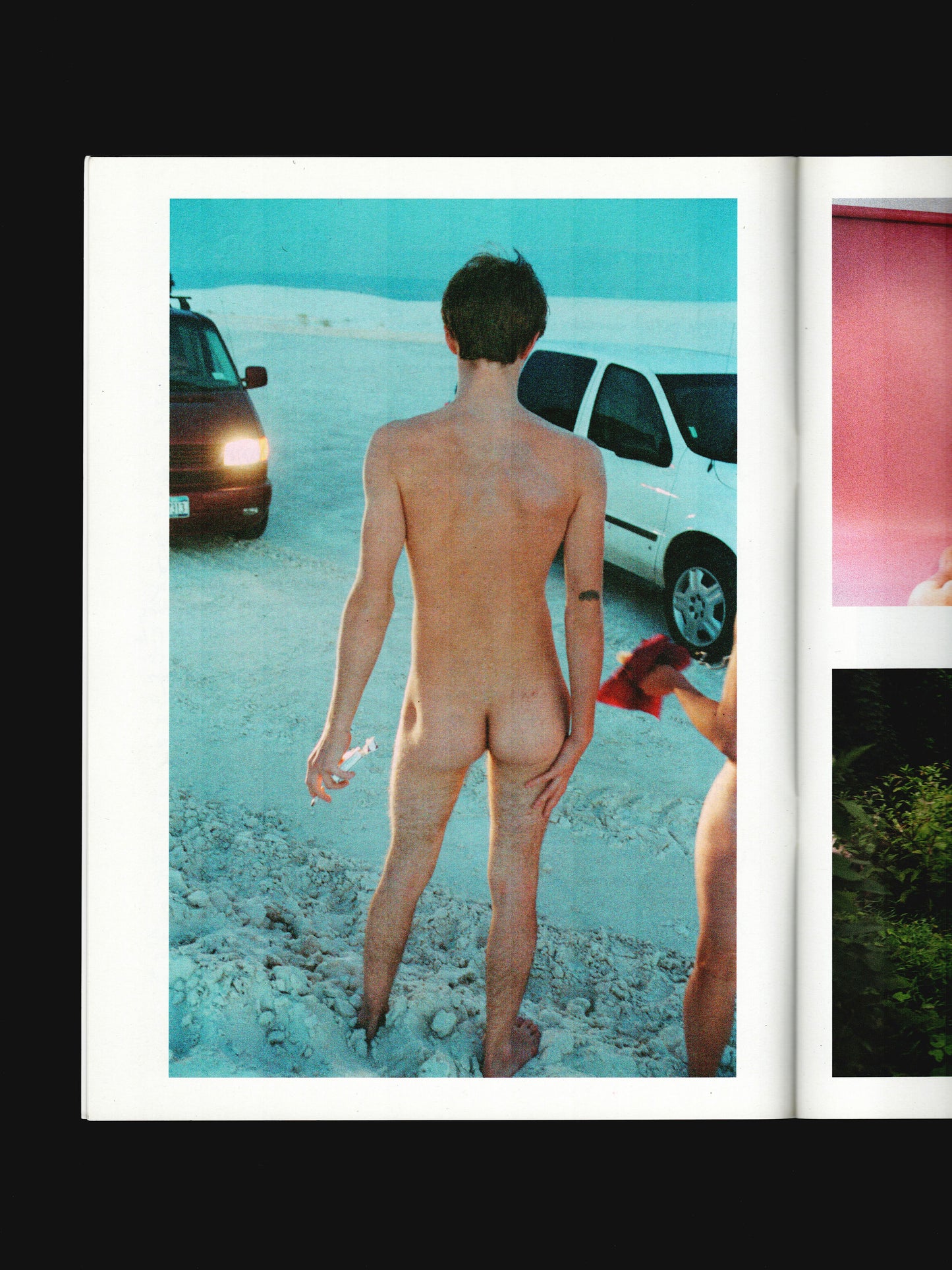 THE RYAN MCGINLEY PURPLE BOOK (2013)
