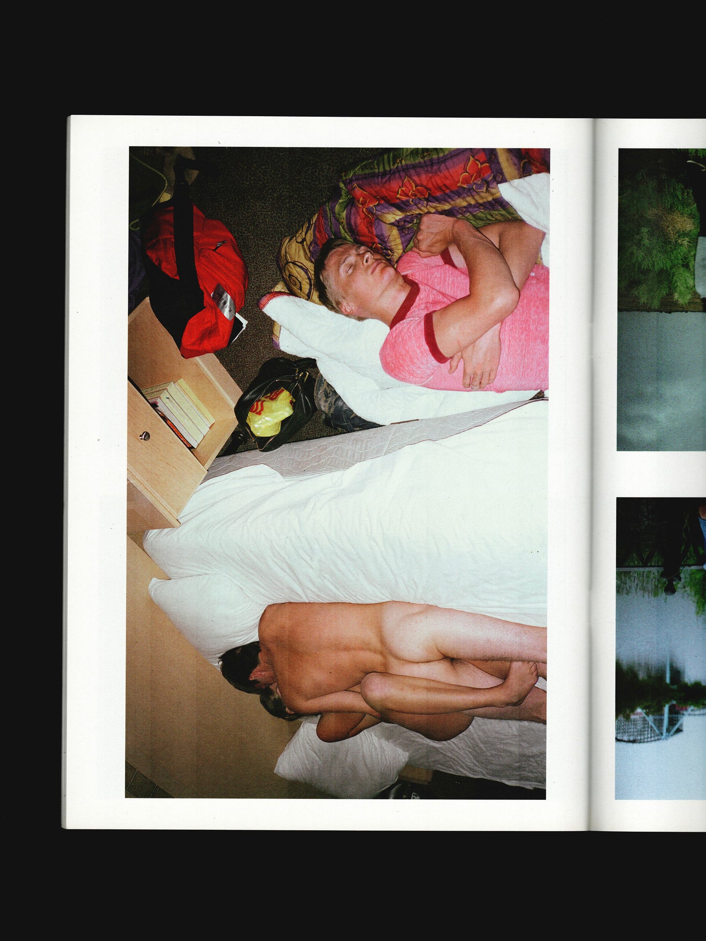 THE RYAN MCGINLEY PURPLE BOOK (2013)