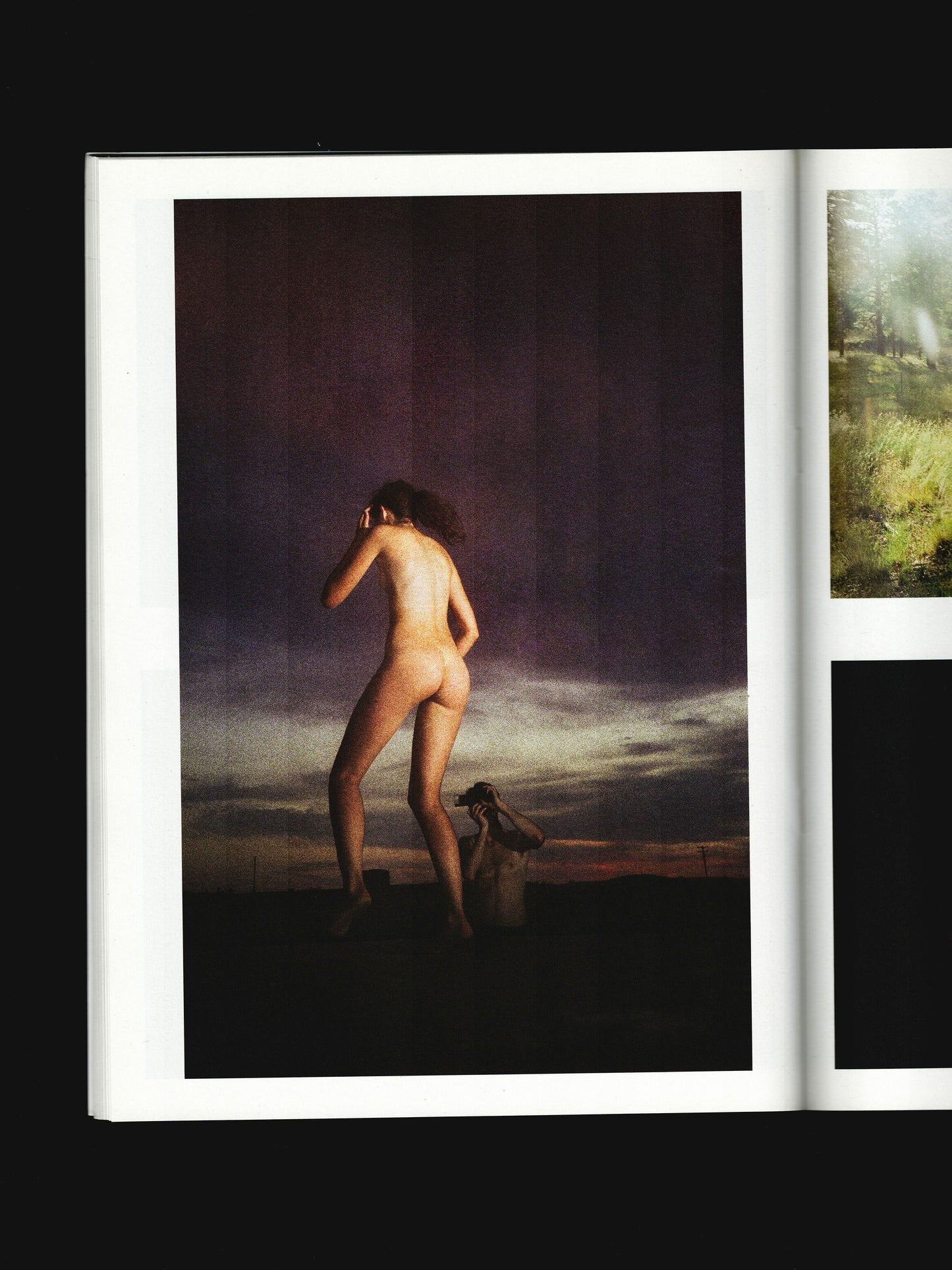 THE RYAN MCGINLEY PURPLE BOOK (2013)