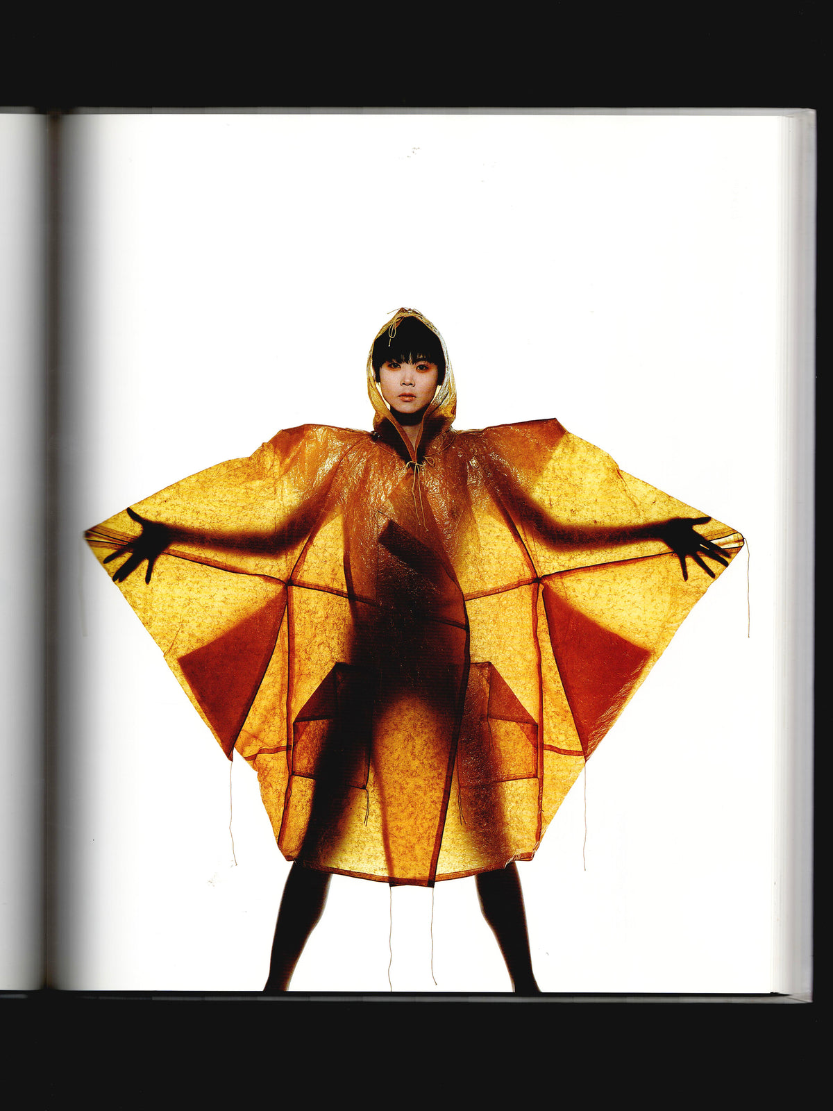 PHOTOGRAPHIEN BY IRVING PENN (1988)