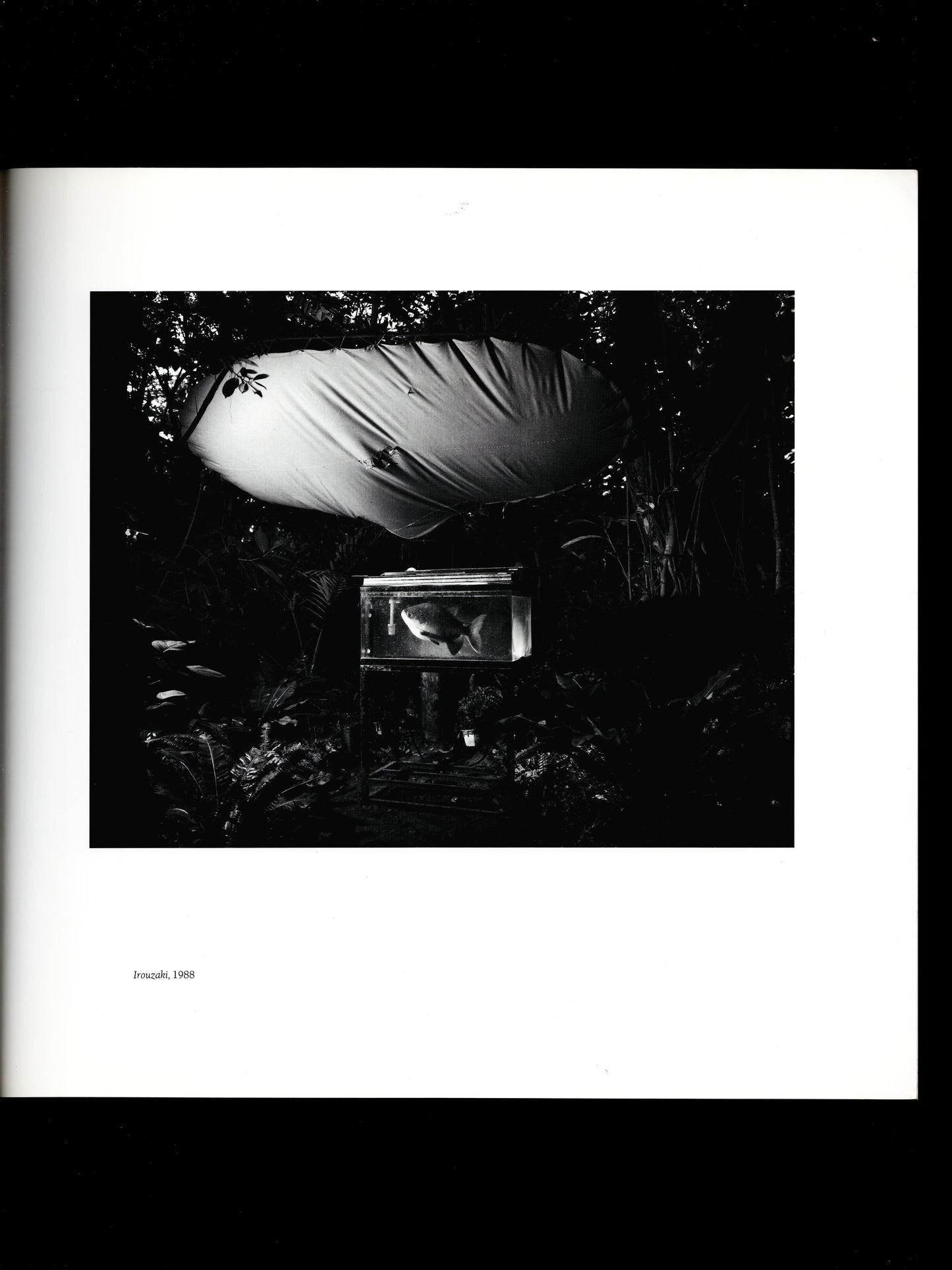 FAR EAST AND SOUTHWEST (1994)