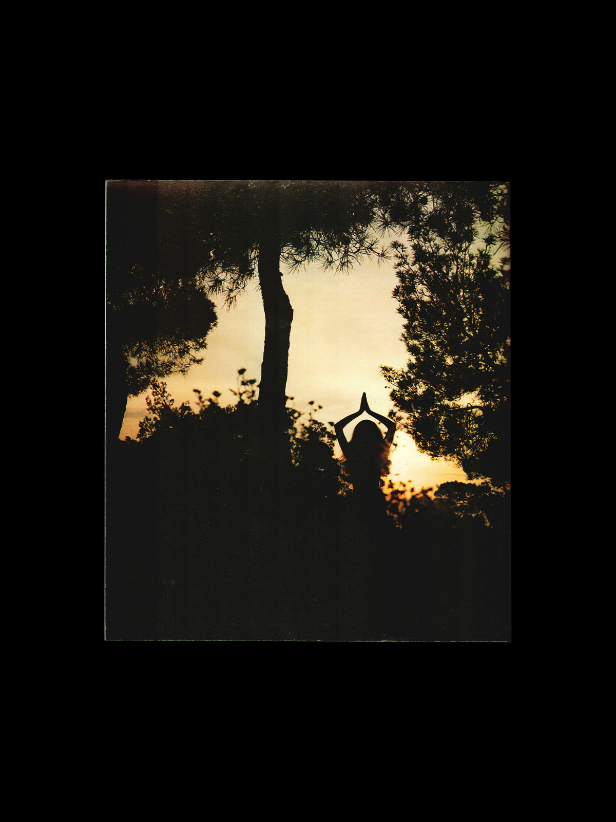 FIRST SERIES OF ASANAS (1973)