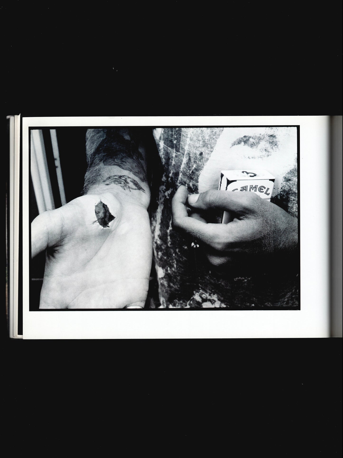 NOBODY LIVING CAN EVER MAKE ME TURN BACK (2007)