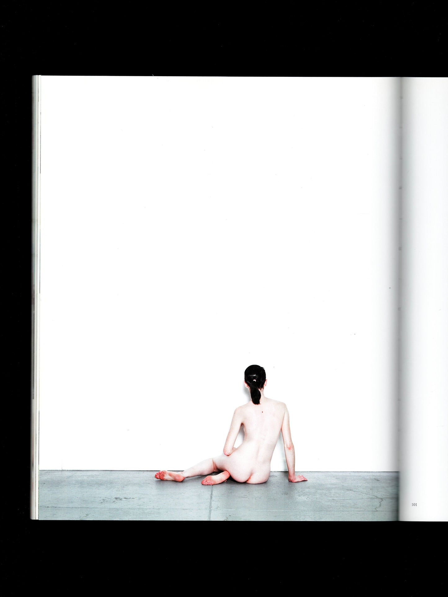 NOT IN FASHION (2009)