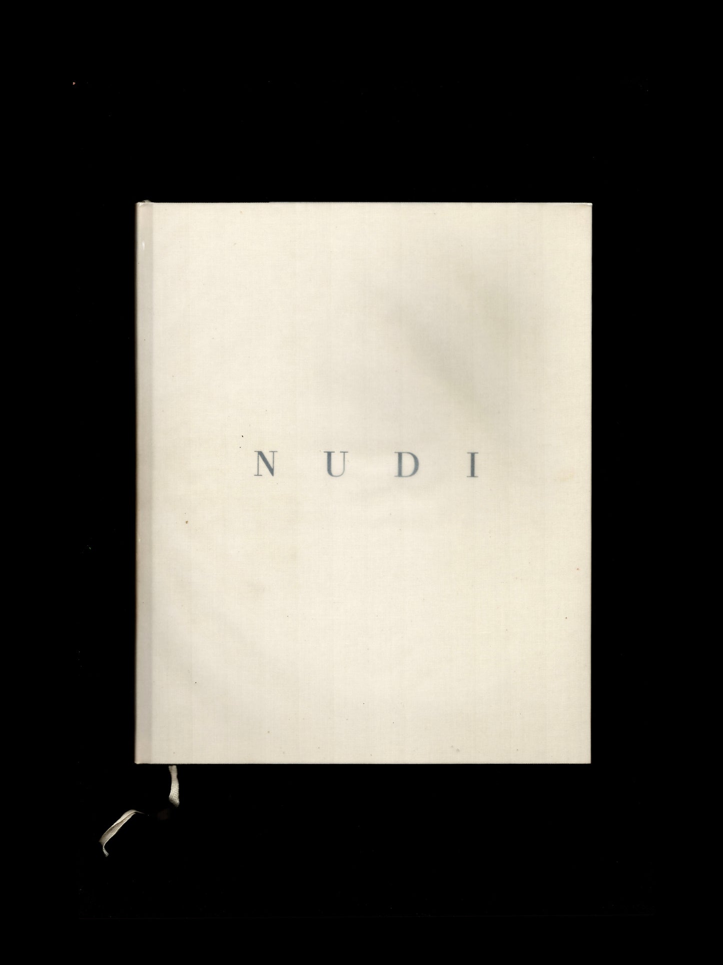 NUDI (1999)