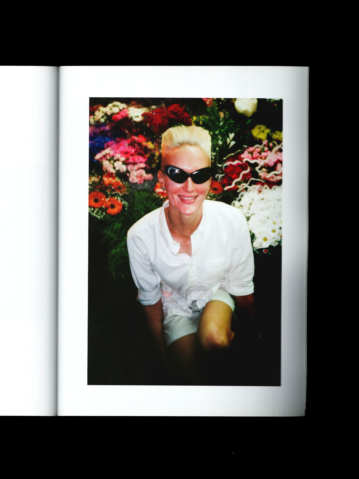 PAGES (2013)