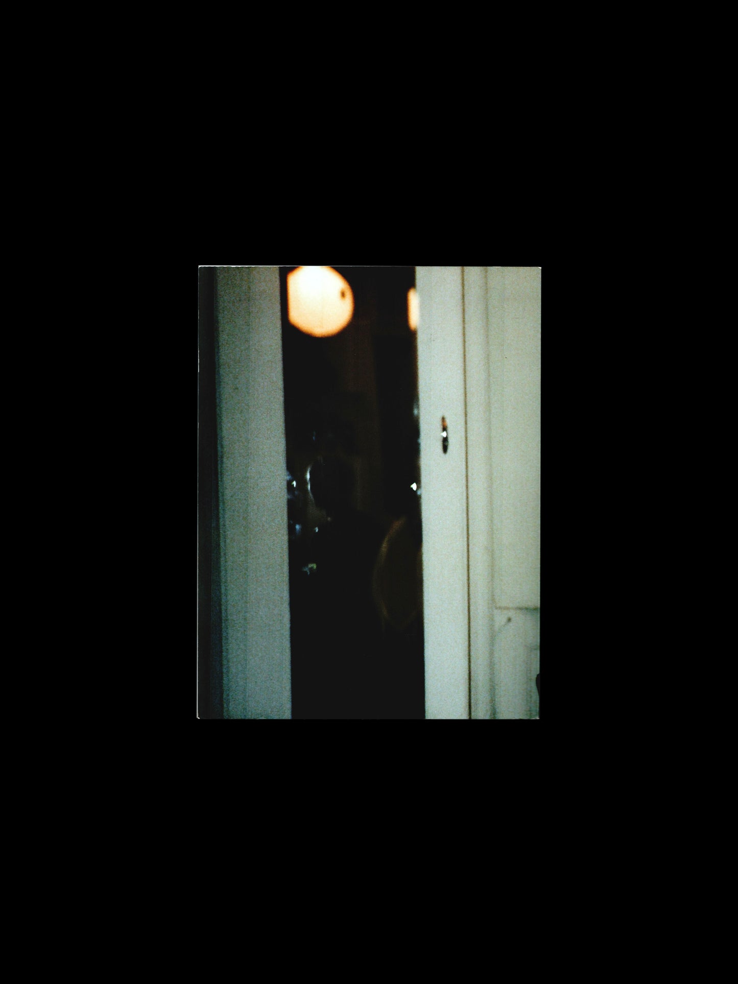 PAGES (2013)