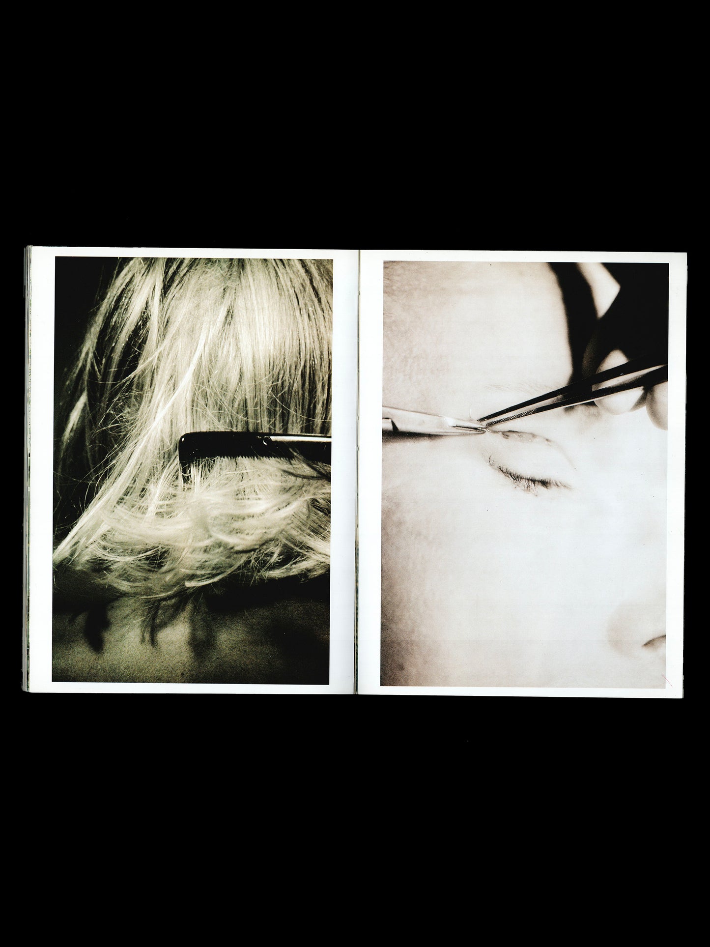 PERMANANT FOOD NO 11 (2004)