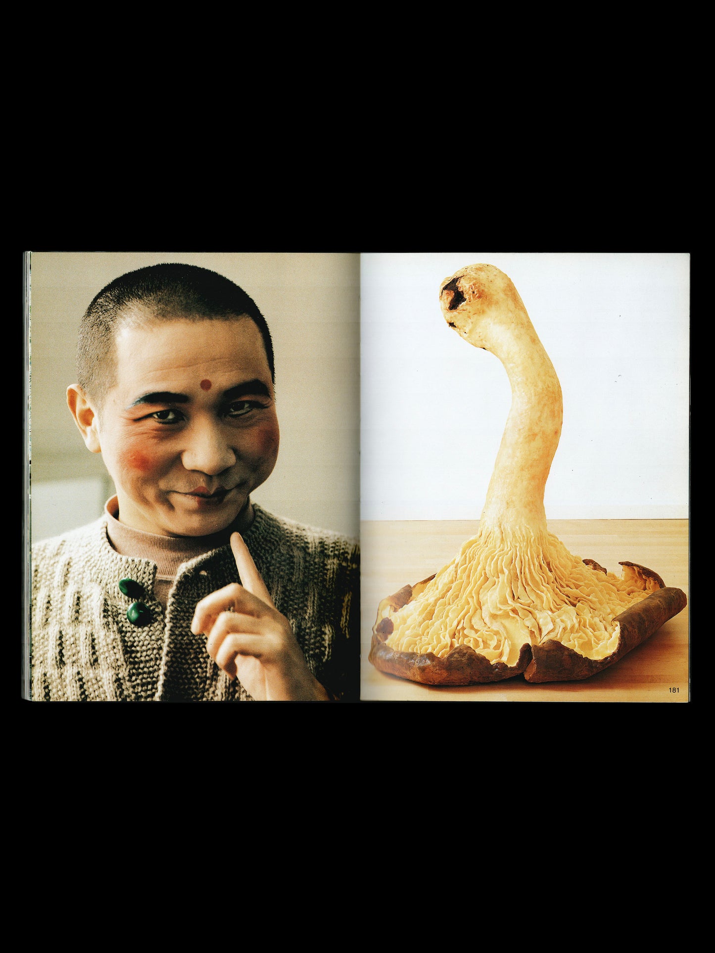 PERMANANT FOOD NO 11 (2004)