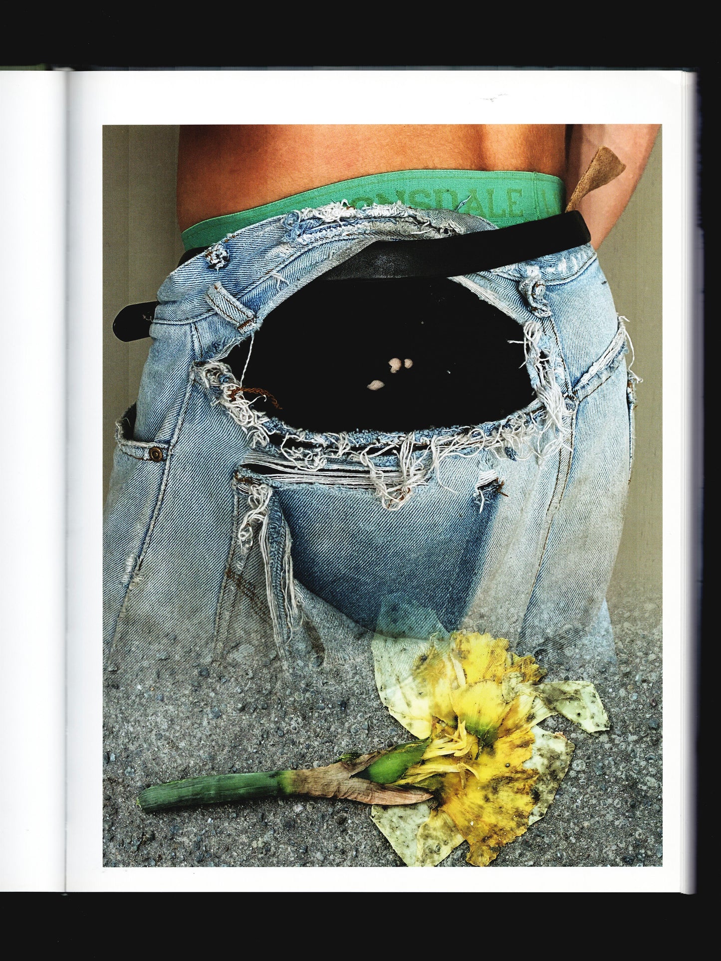 THE VANITY OF CERTAIN FLOWERS PART TWO (2021) SIGNED