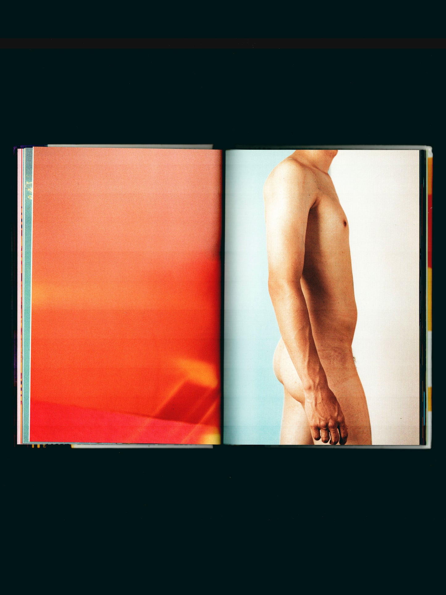 PHOTOLOGY (2007)