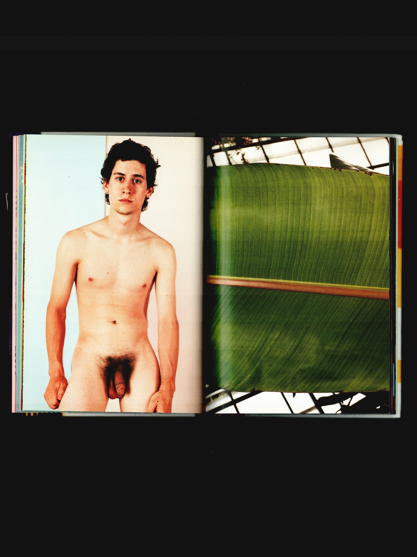 PHOTOLOGY (2007)