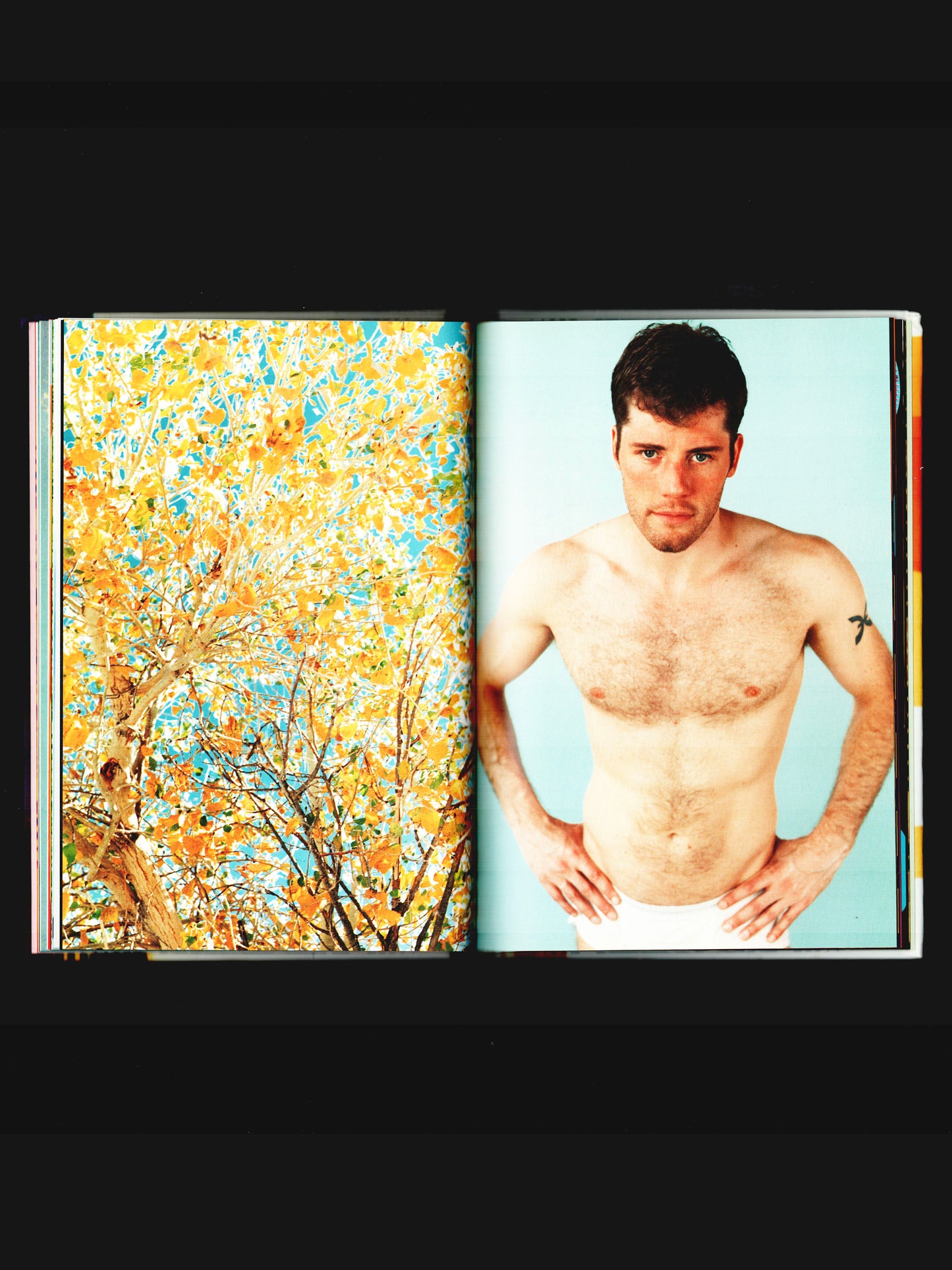 PHOTOLOGY (2007)