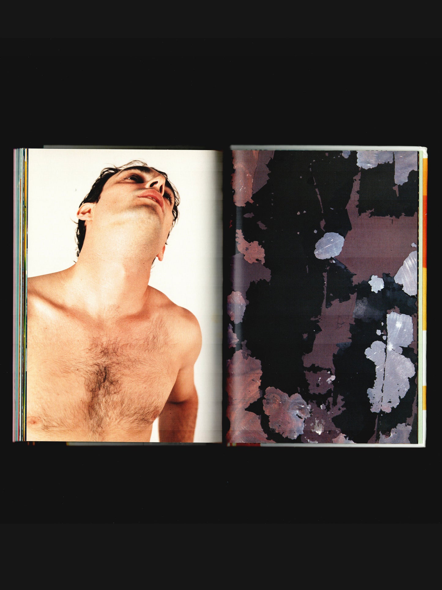 PHOTOLOGY (2007)