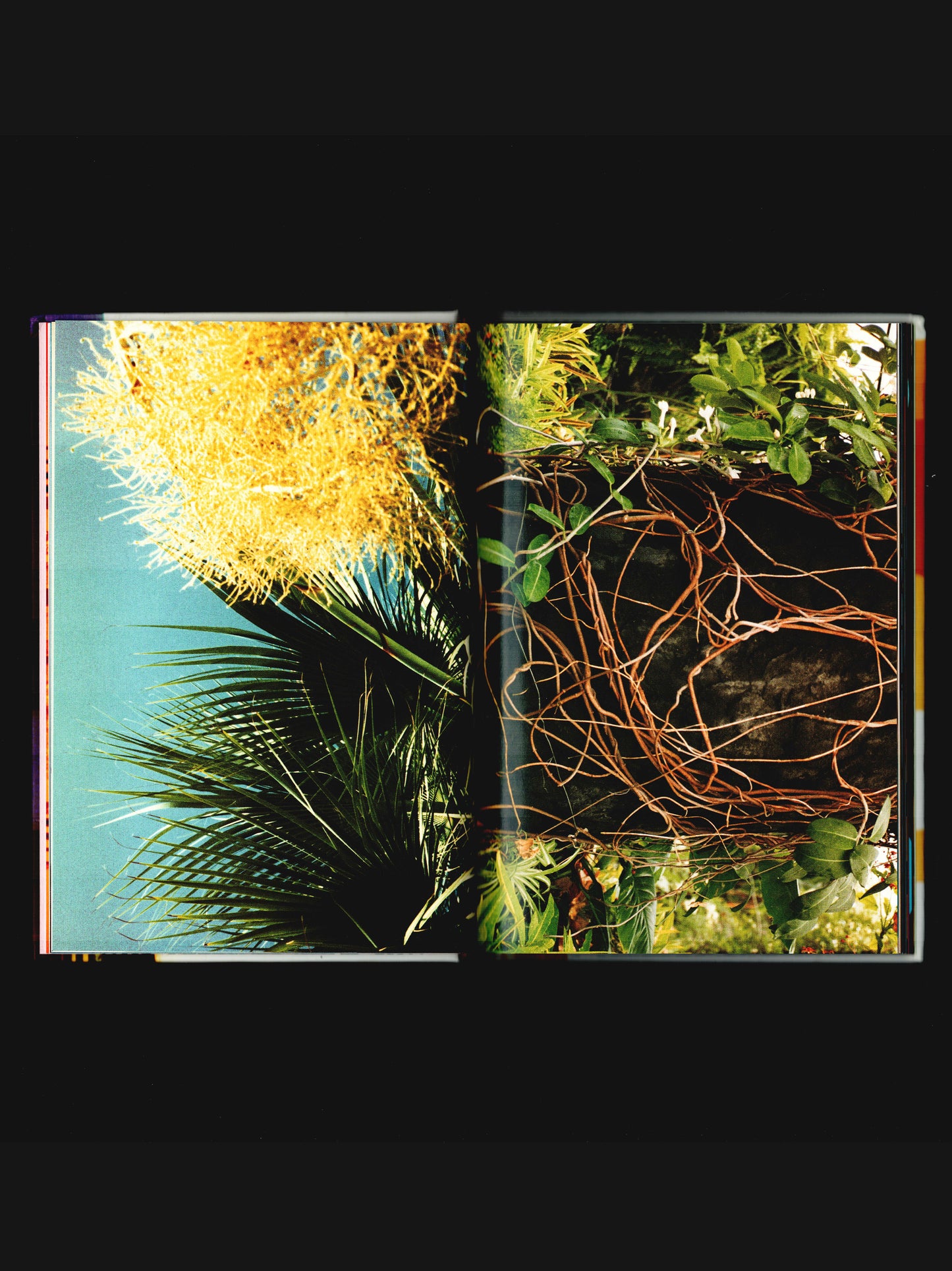 PHOTOLOGY (2007)
