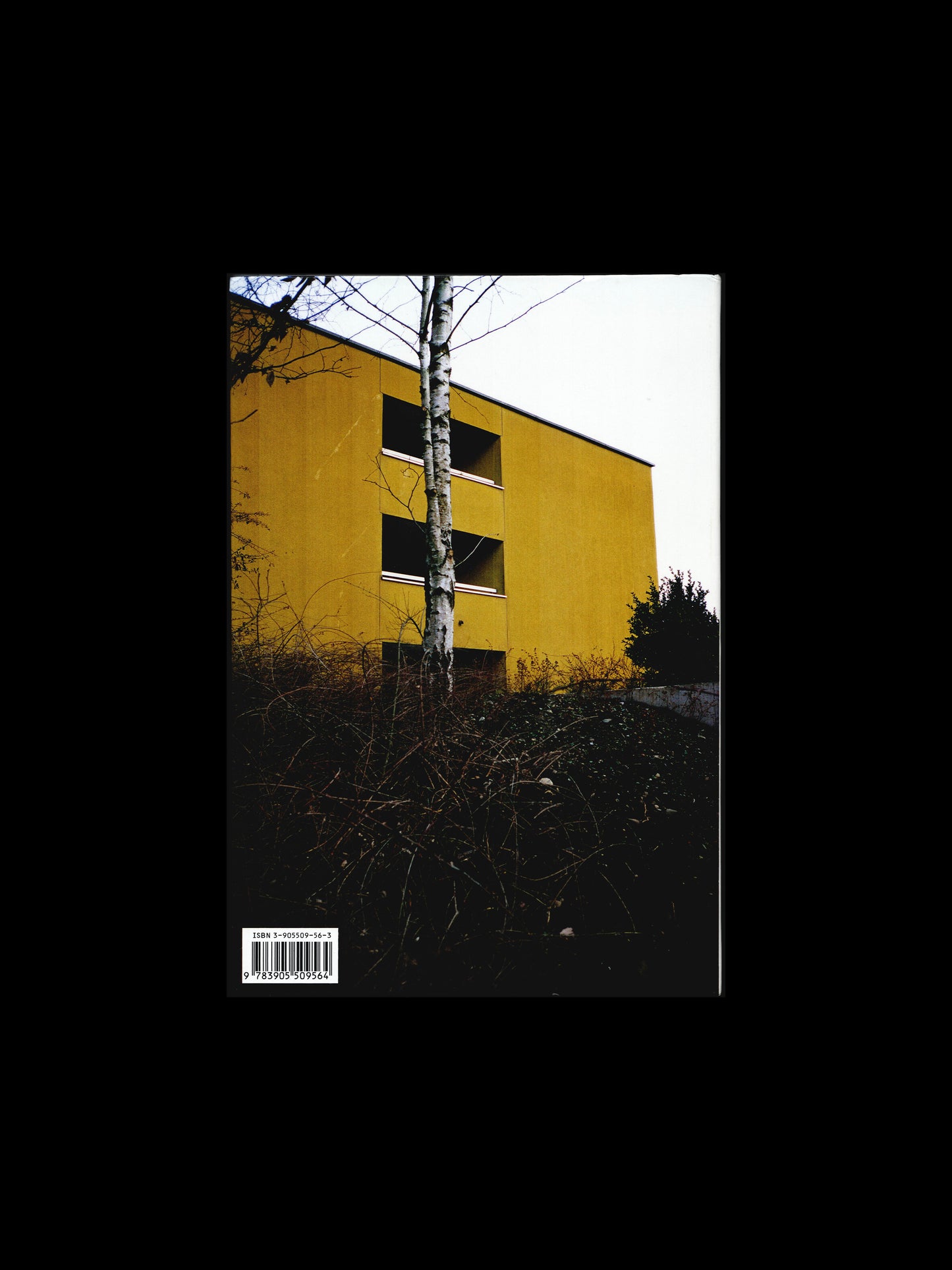 1977 (2005)