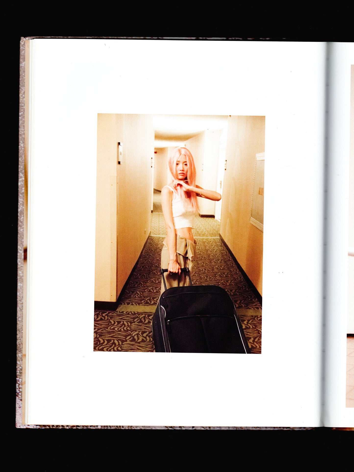 PINK LEMONADE (2013)