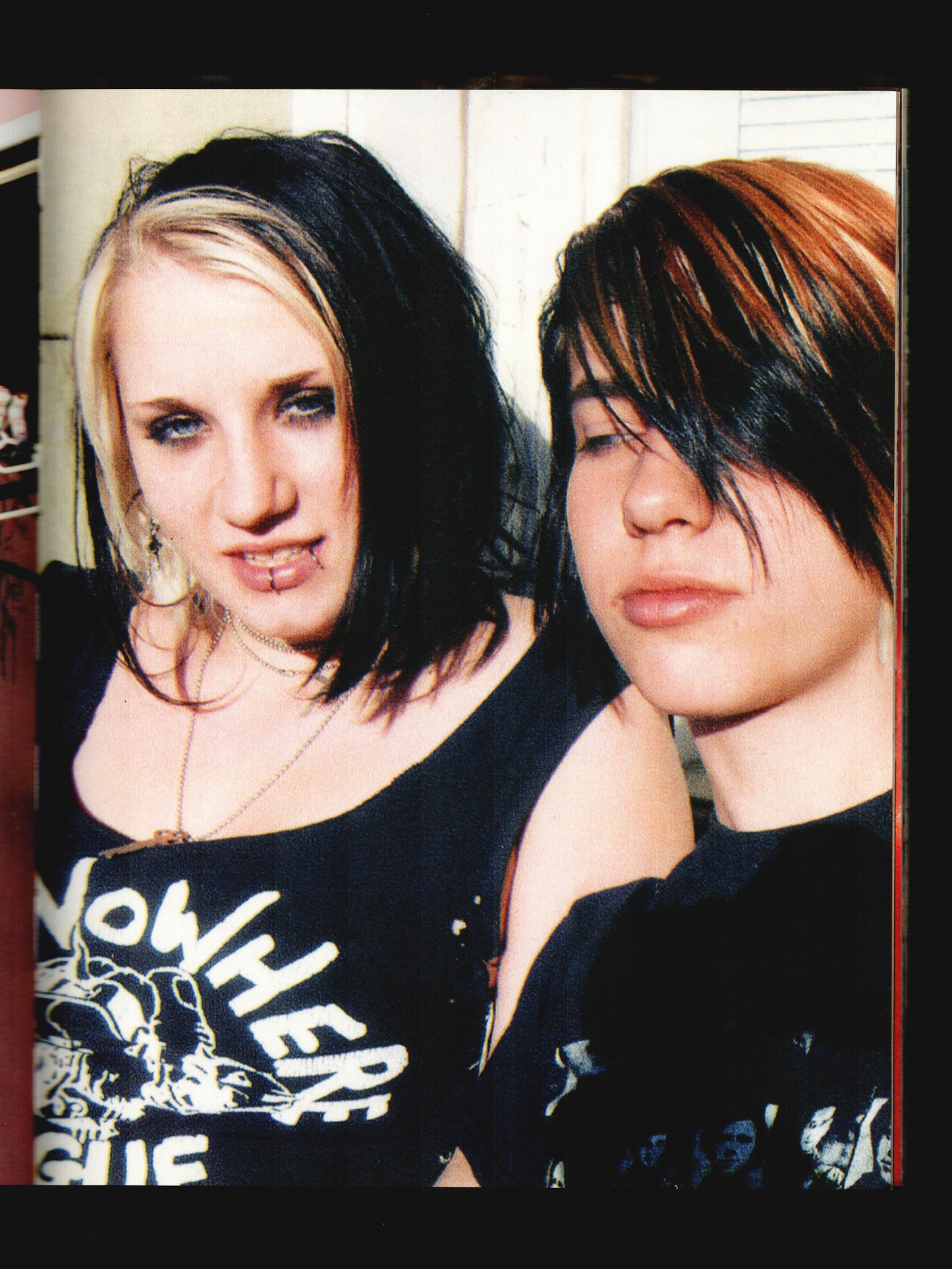 PUNK HOUSE (2007)