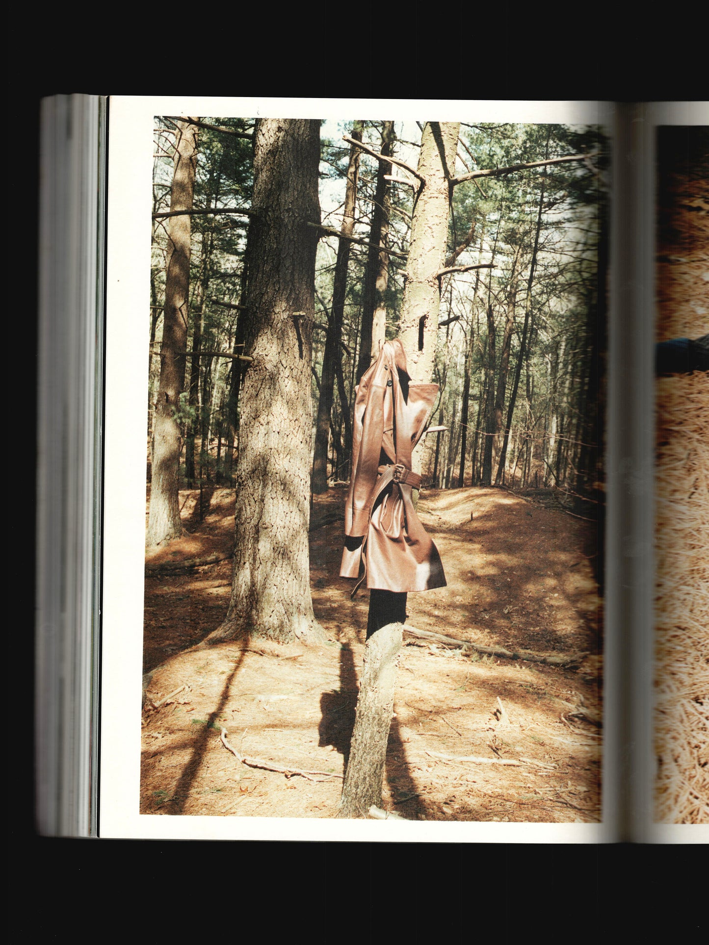 VOLUME 3, ISSUE 6 FALL WINTER (2006/2007)