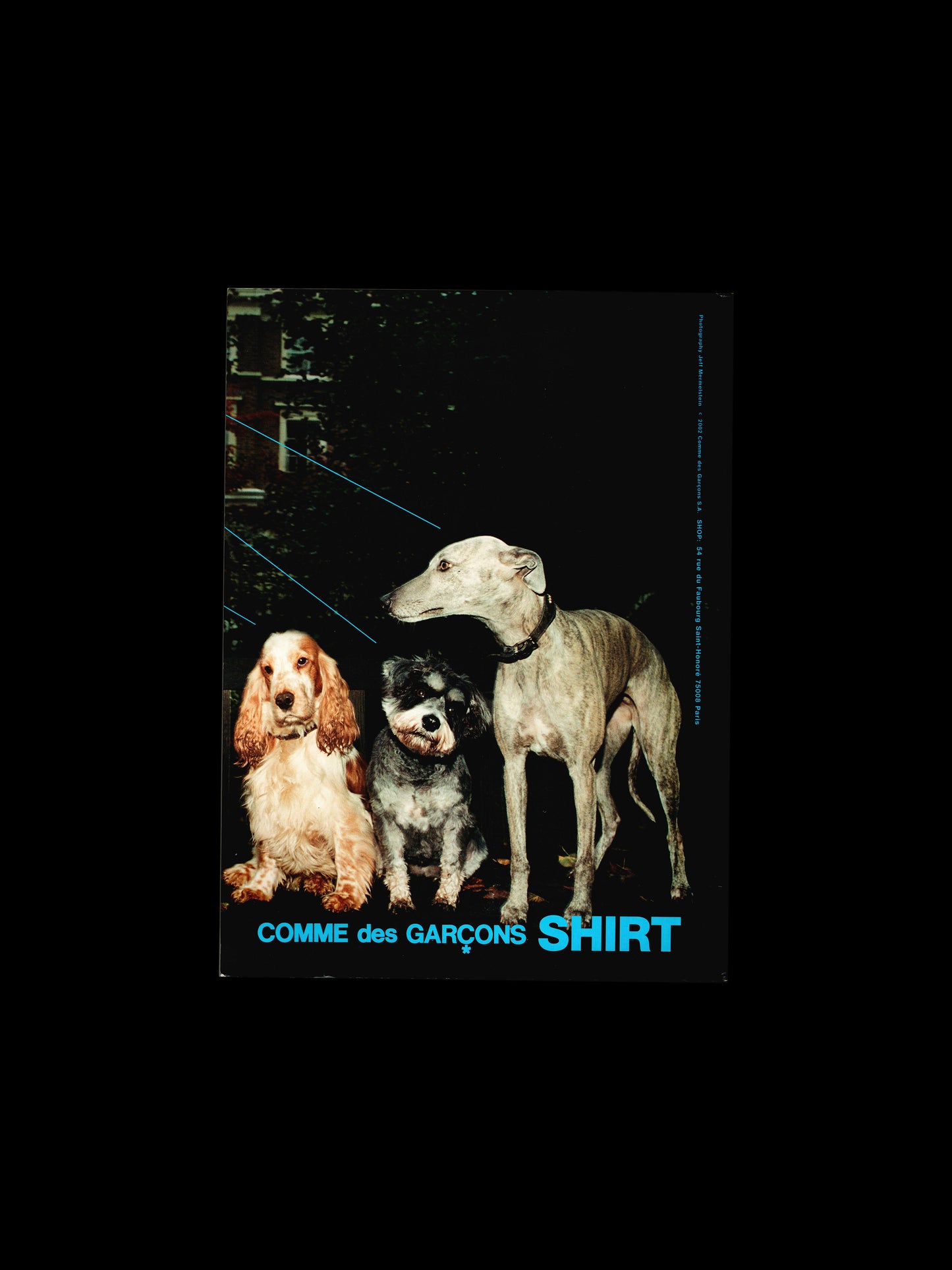 PURPLE NUMBER 13 / FALL (2002)