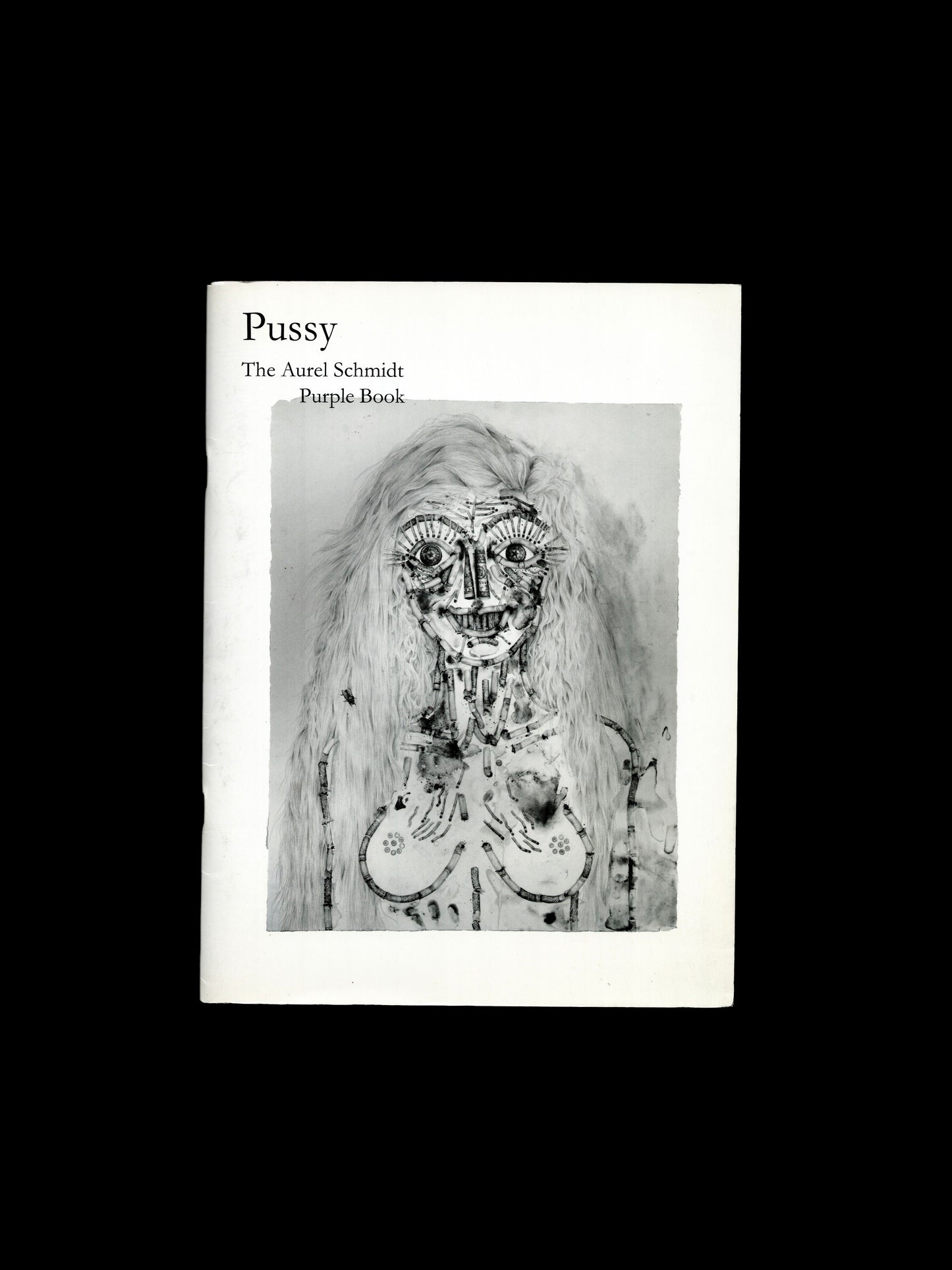 THE AUREL SCHMIDT PURPLE BOOK (2010)