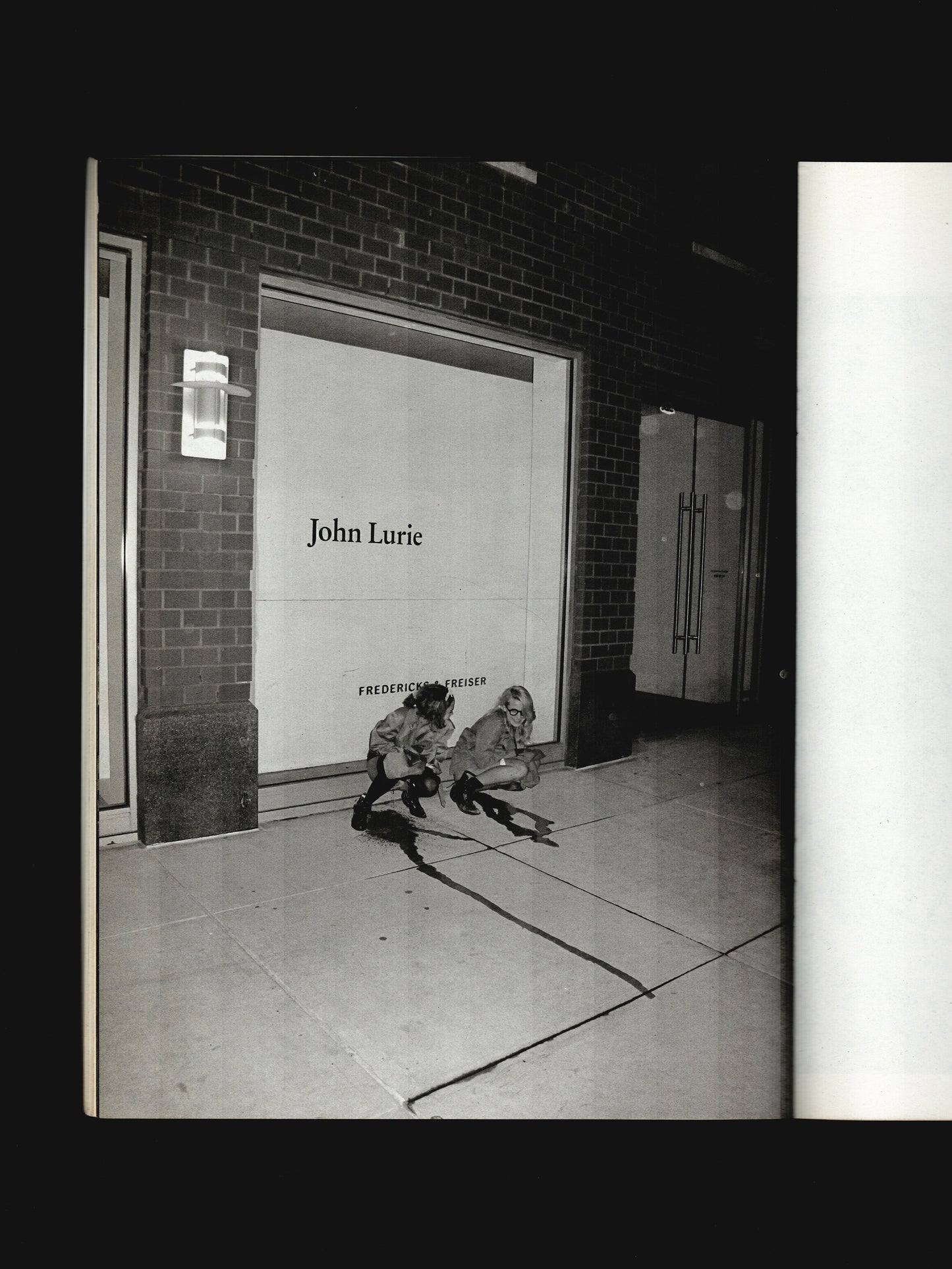 THE AUREL SCHMIDT PURPLE BOOK (2010)