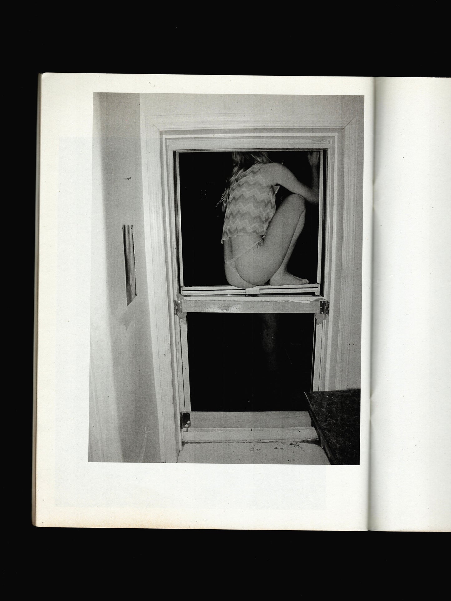 THE AUREL SCHMIDT PURPLE BOOK (2010)