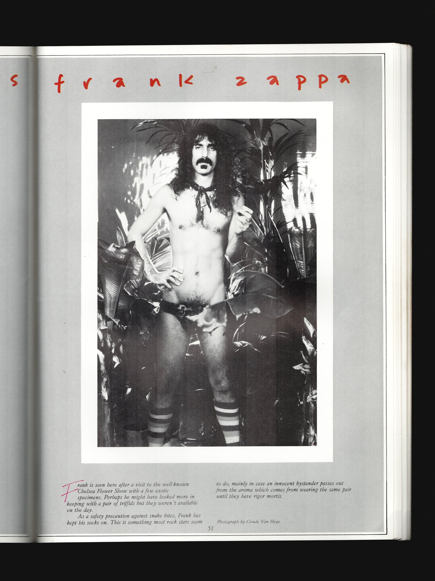 ROCKS STARS IN THEIR UNDERPANTS (1980)