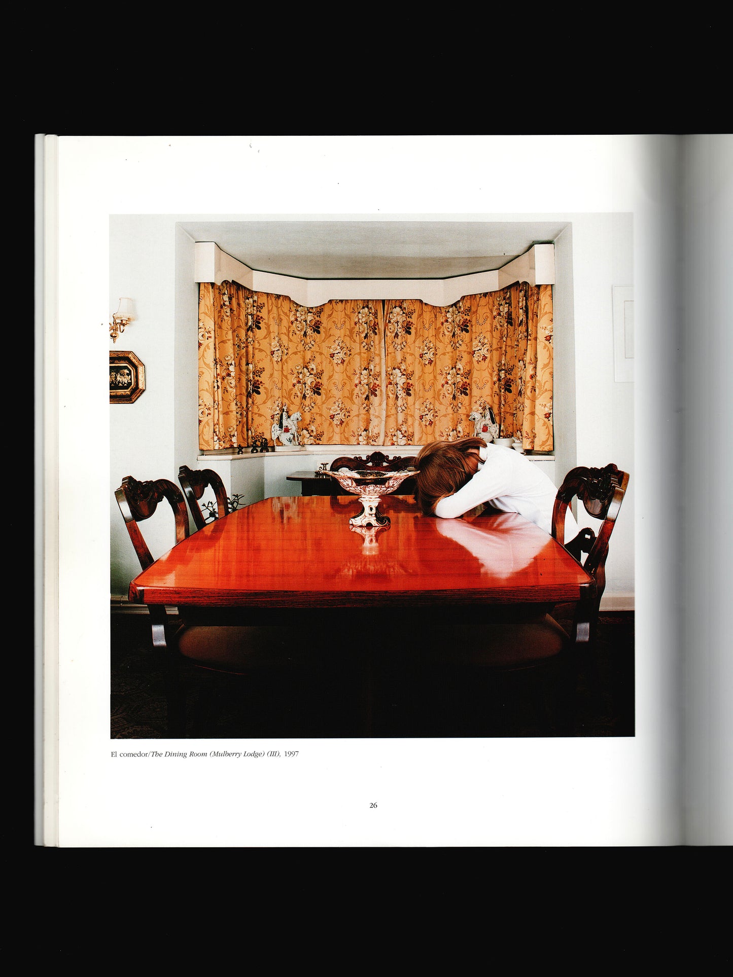 THE PHOTOGRAPHS OF SARAH JONES (1999)