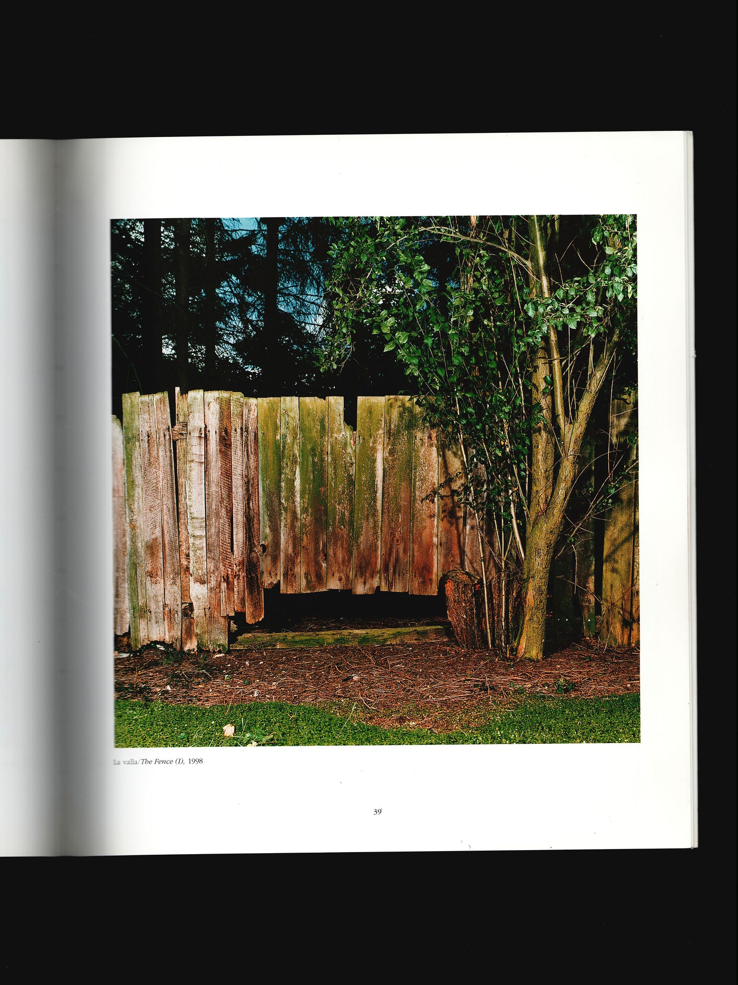 THE PHOTOGRAPHS OF SARAH JONES (1999)