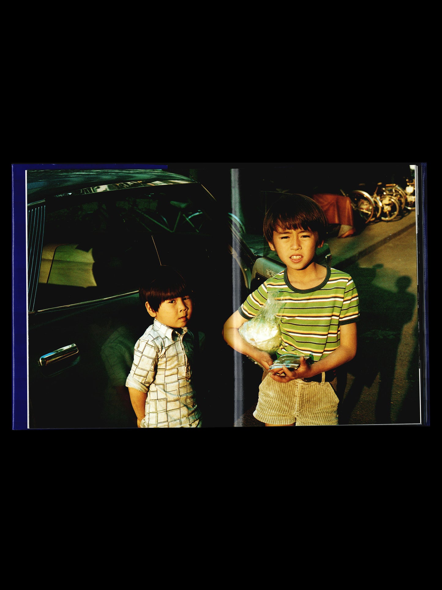 MÉMOIRS 1995 (1995)