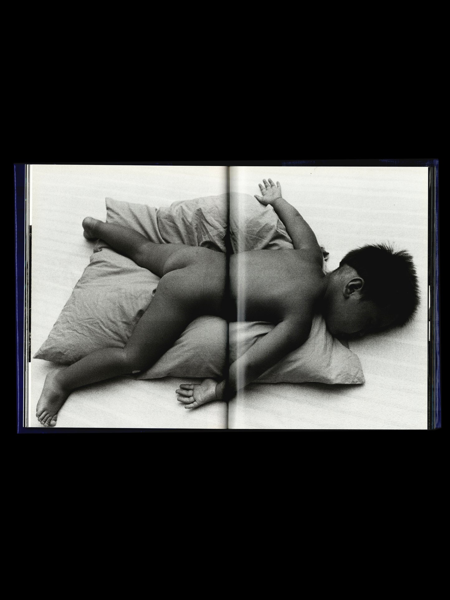 MÉMOIRS 1995 (1995)