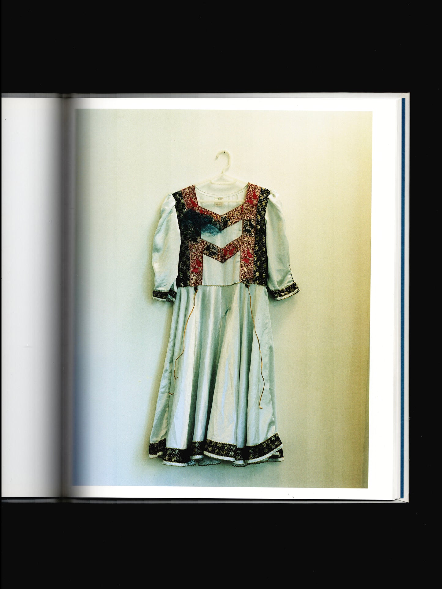 SHAPES OF BLOOMING (2005)