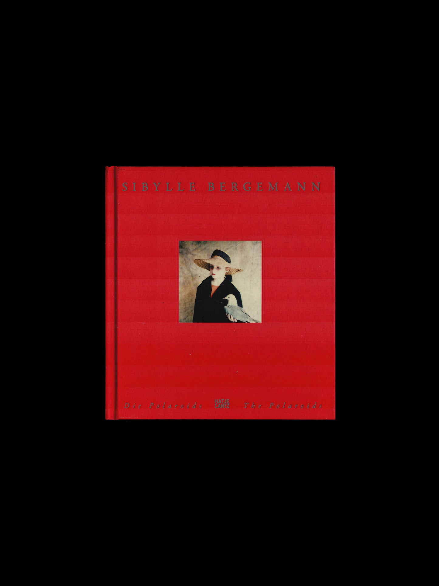 THE POLAROIDS (2011)