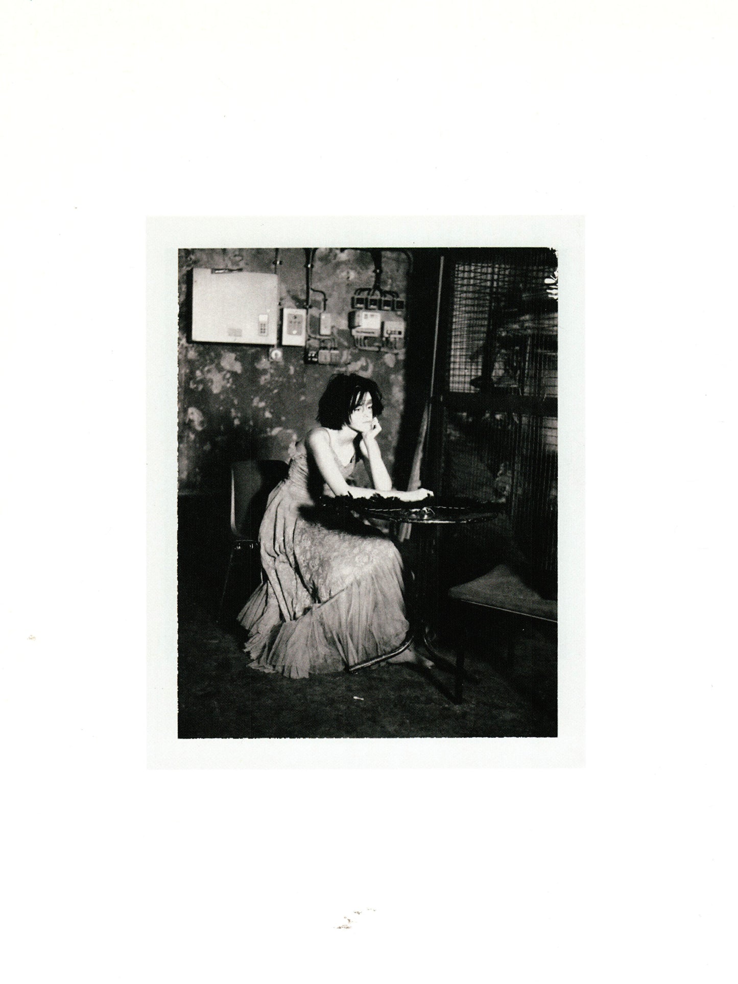 THE POLAROIDS (2011)