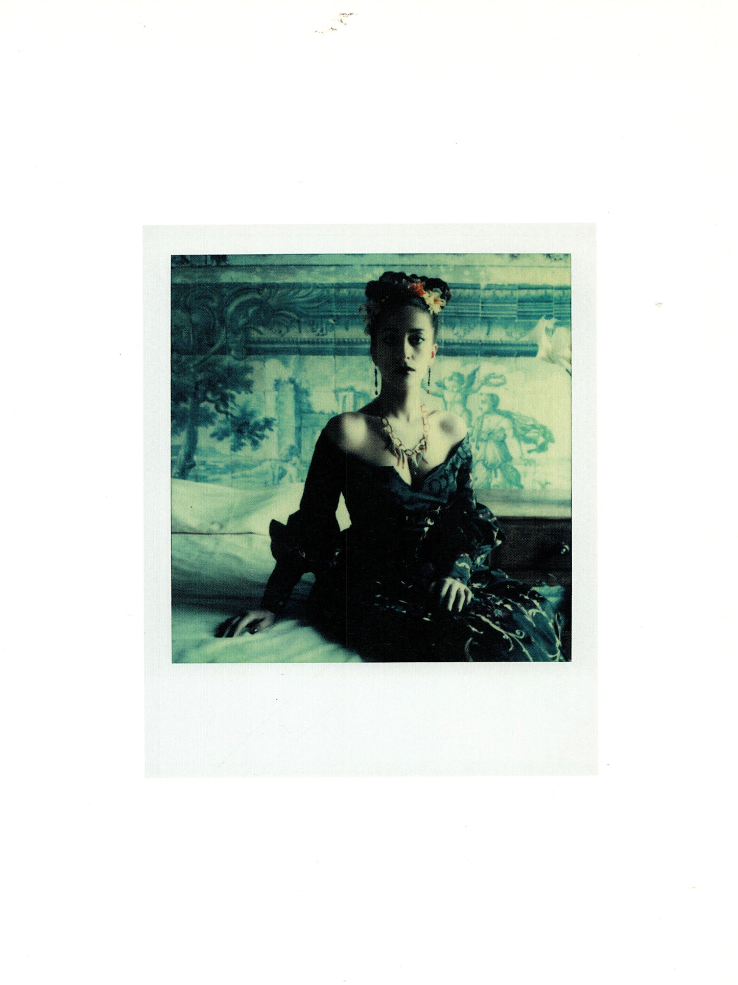 THE POLAROIDS (2011)
