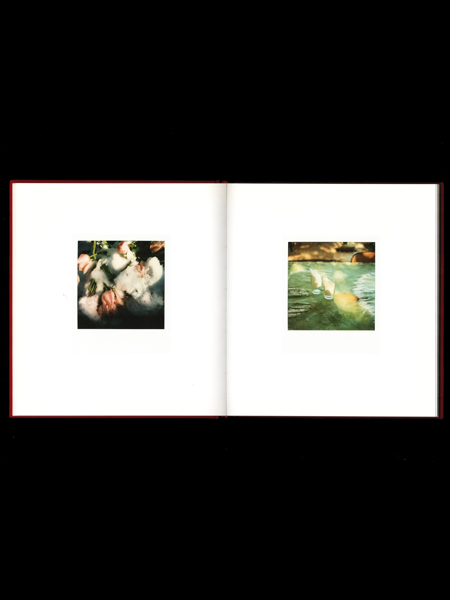 THE POLAROIDS (2011)