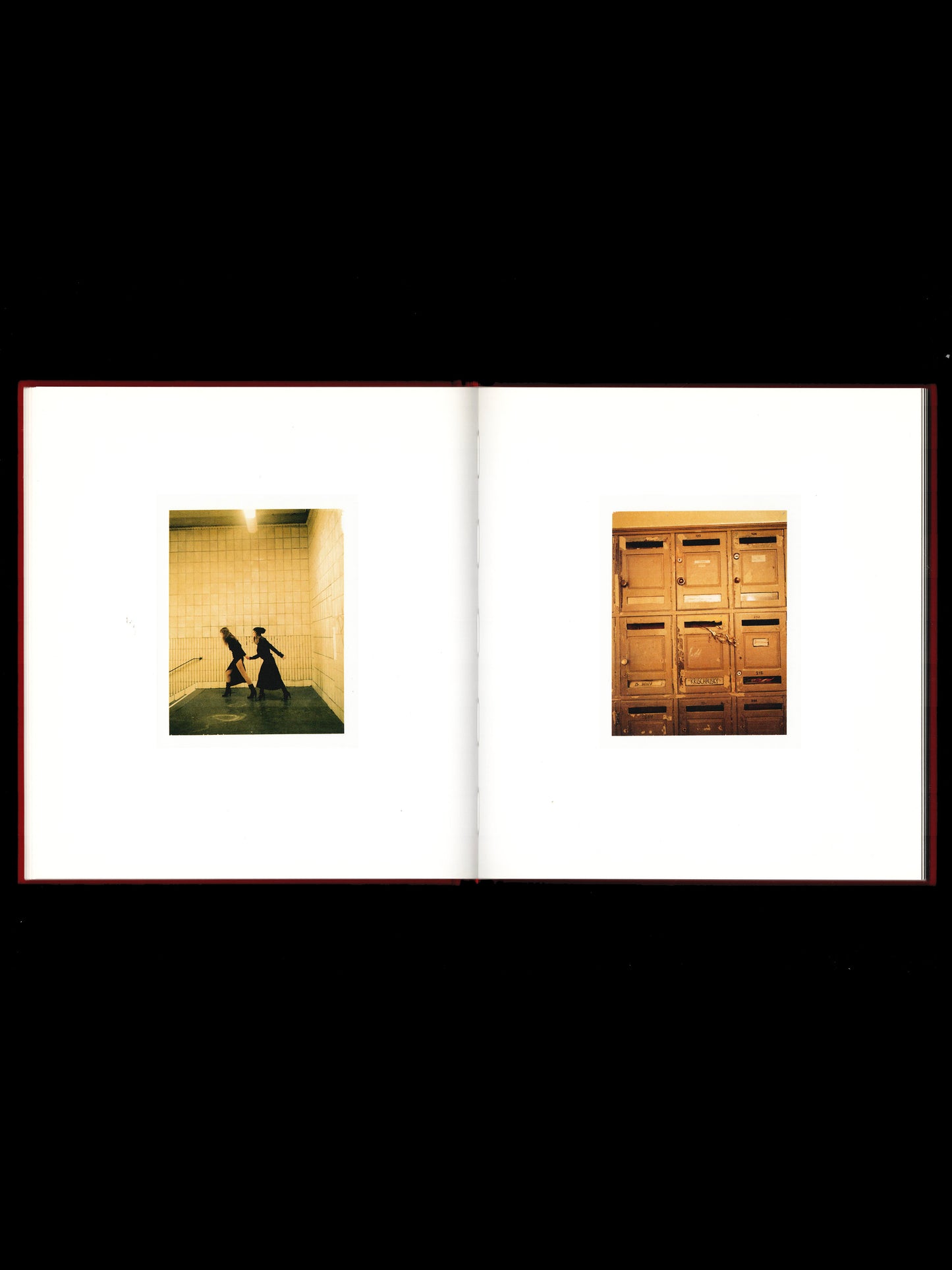 THE POLAROIDS (2011)