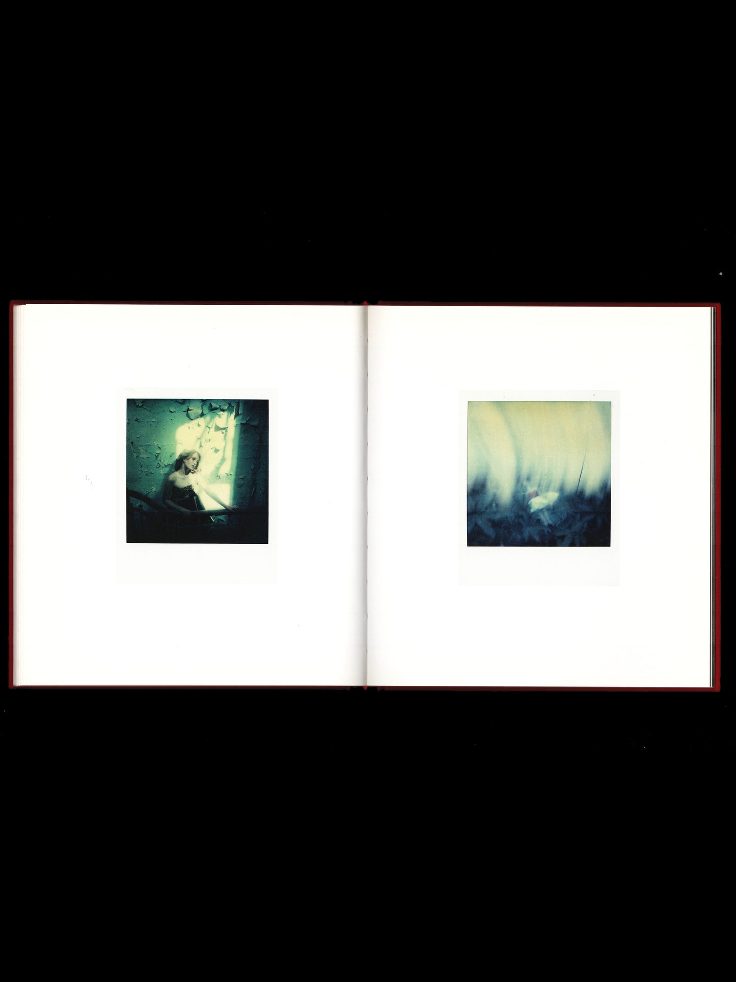 THE POLAROIDS (2011)