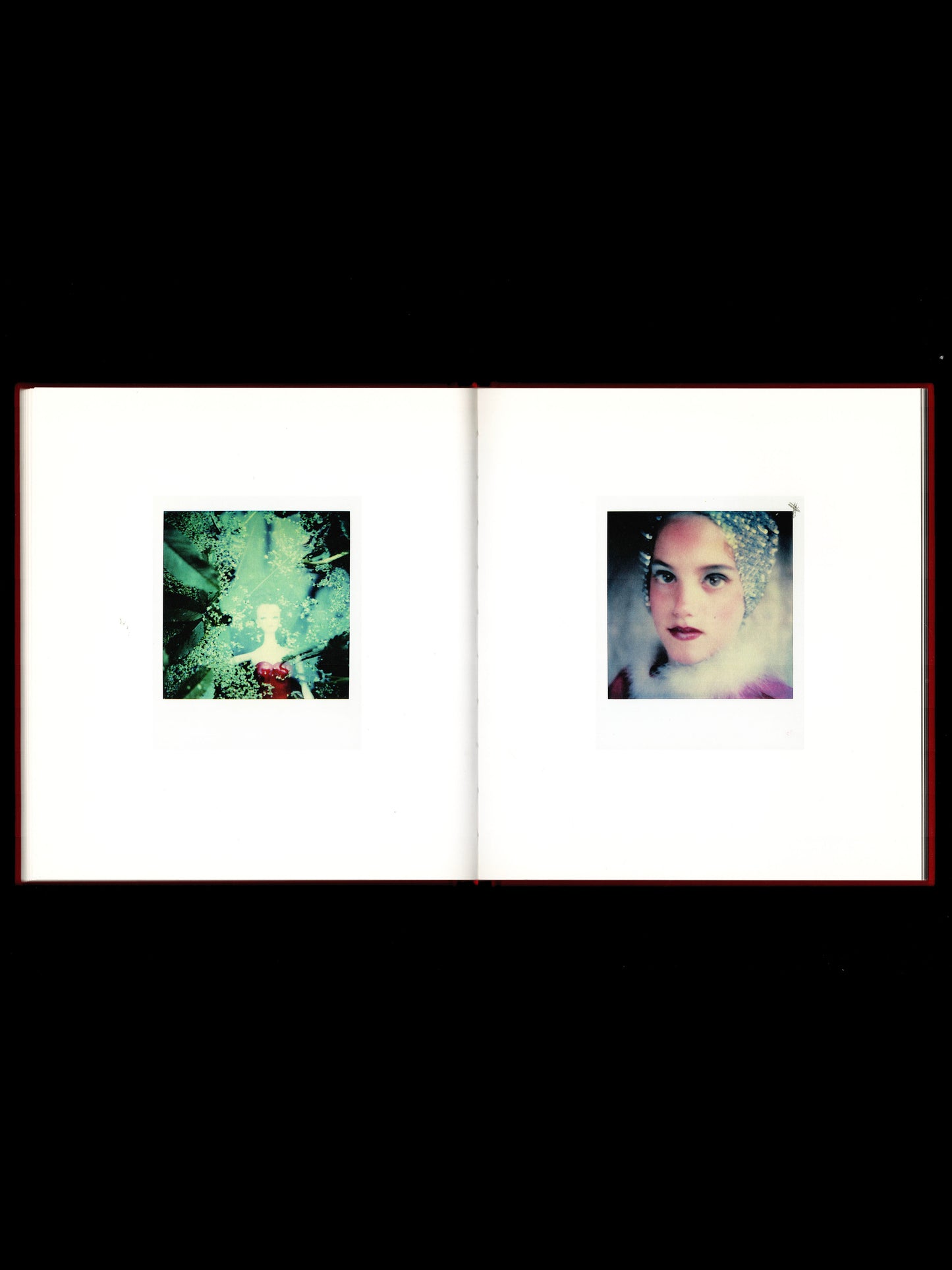 THE POLAROIDS (2011)